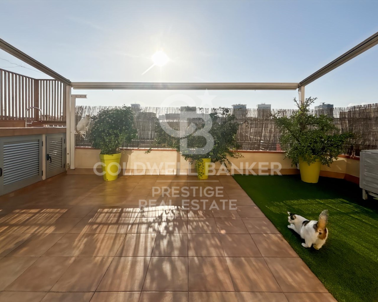 Barcelona, Barcelona, Eixample Barcelona, Barcelon, Barcelona, Catalonia, ES, 3 Bedrooms Bedrooms, ,2 BathroomsBathrooms,Residential,For Sale,Barcelona, Barcelona, Eixample Barcelona, Barcelon,1663325