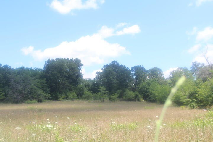 Polk, Missouri, 65727, United States, ,Land,For Sale,1980569