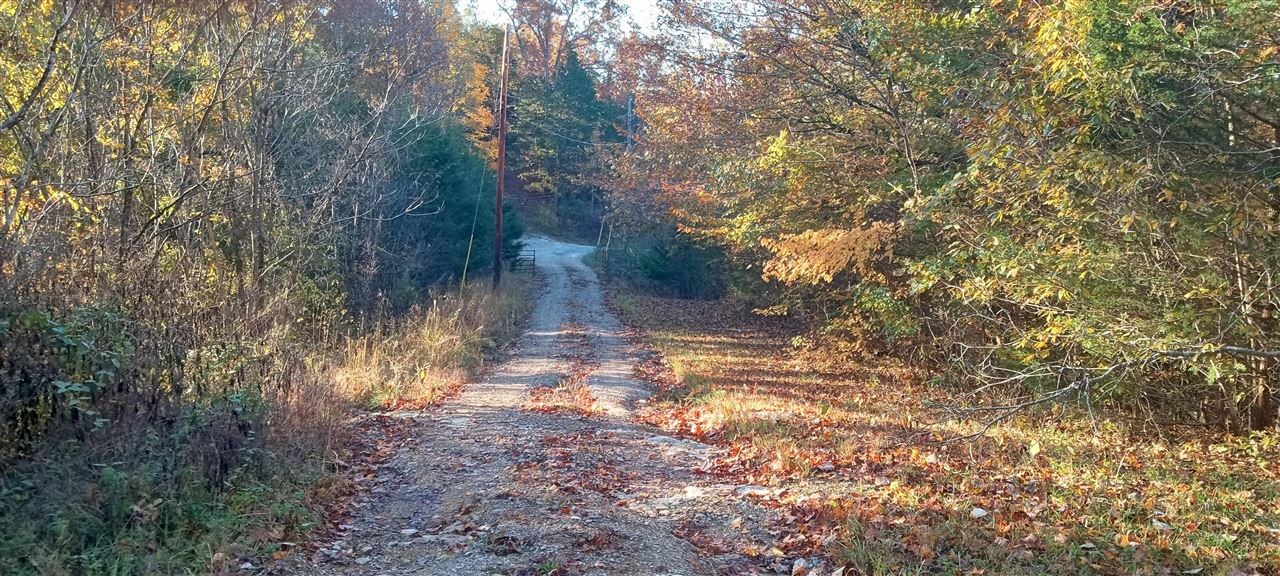 Willow Shade, Kentucky, 42166, United States, 3 Bedrooms Bedrooms, ,2 BathroomsBathrooms,Residential,For Sale,1991903