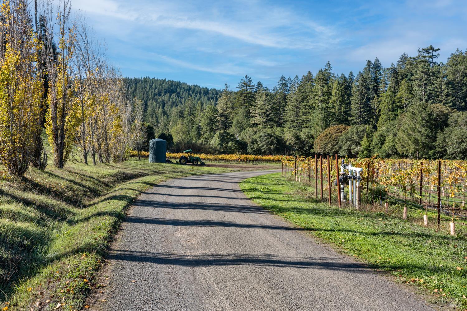 Philo, California, 95466, United States, 3 Bedrooms Bedrooms, ,3 BathroomsBathrooms,Residential,For Sale,1987364