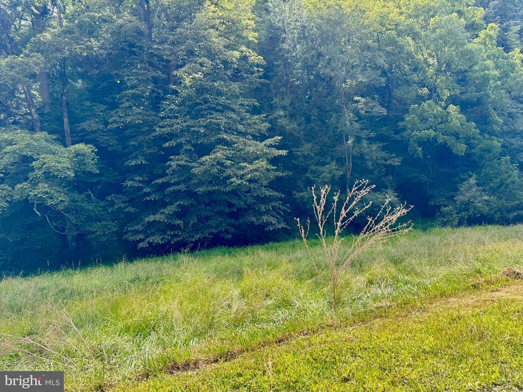 PETERSBURG, West Virginia, 26847, United States, ,Land,For Sale,1932257