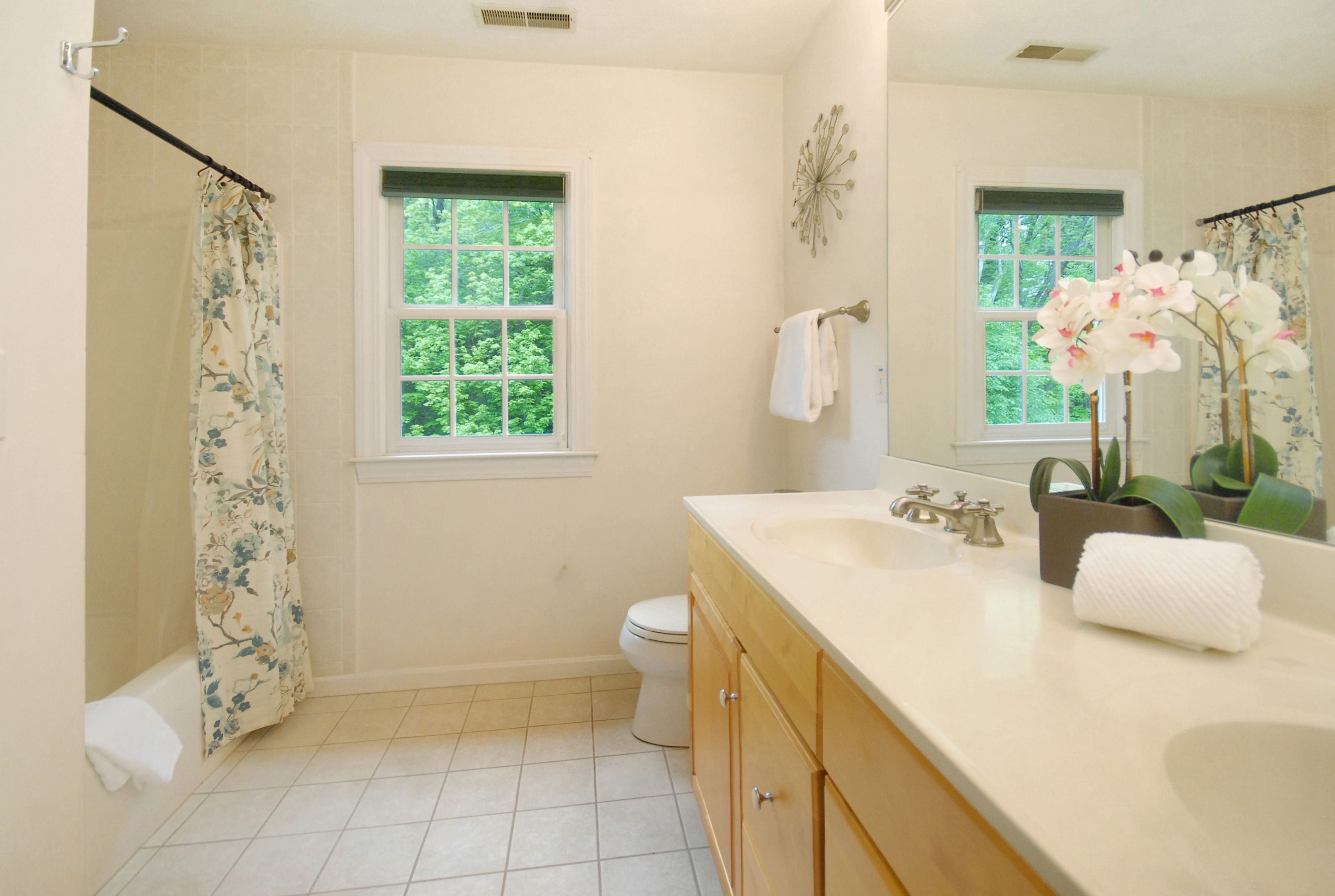  7 Proctor Street, Acton, MA 01720 - 物件實景