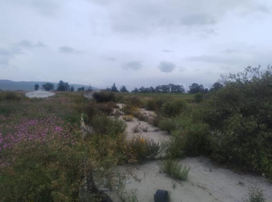 Jilotepec, Estado de méxico, 54250, Mexico, 1 Bedroom Bedrooms, ,Residential,For Sale,1940840
