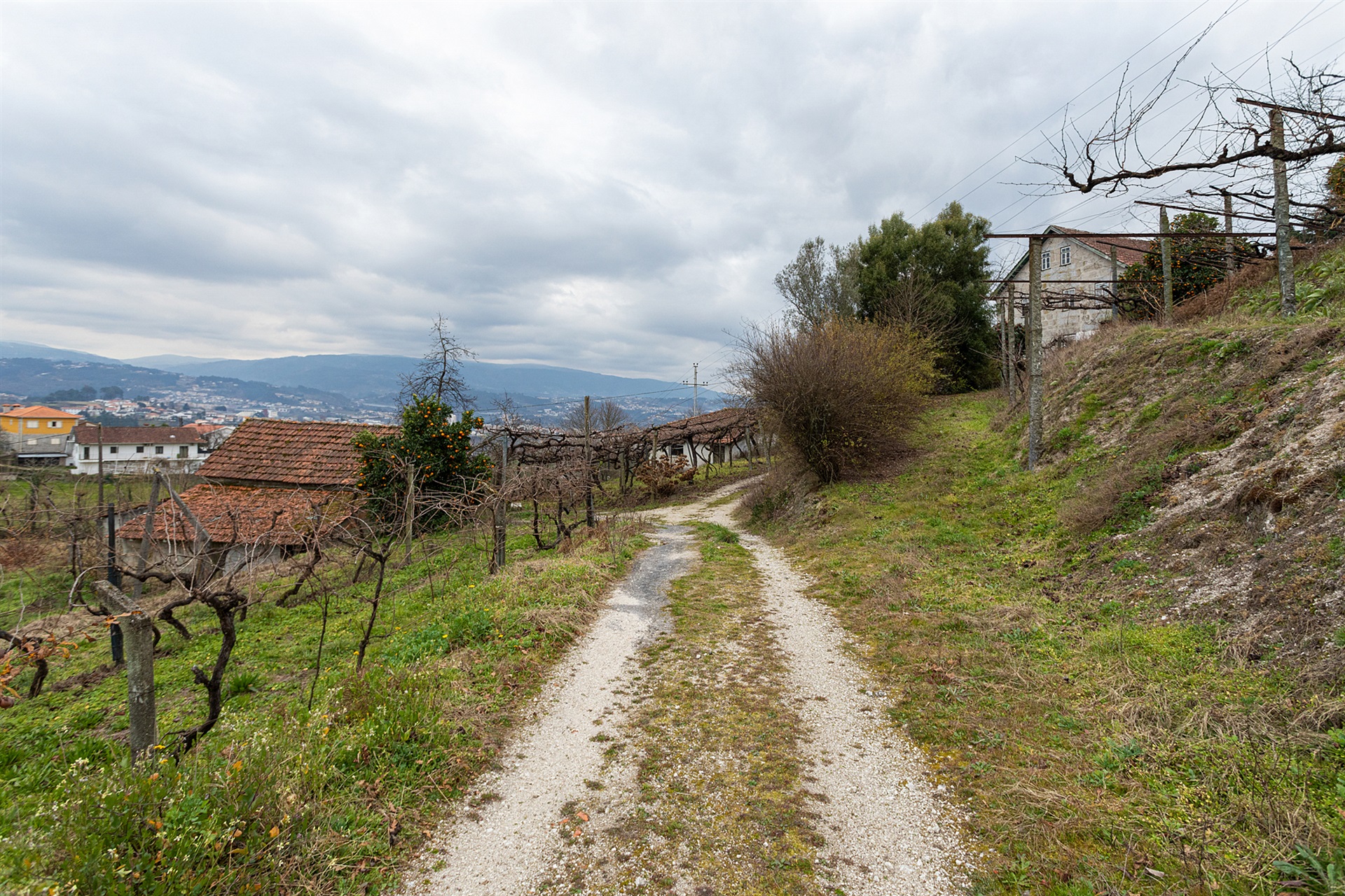  Small Farm, 4 bedrooms, for Sale - 物件實景