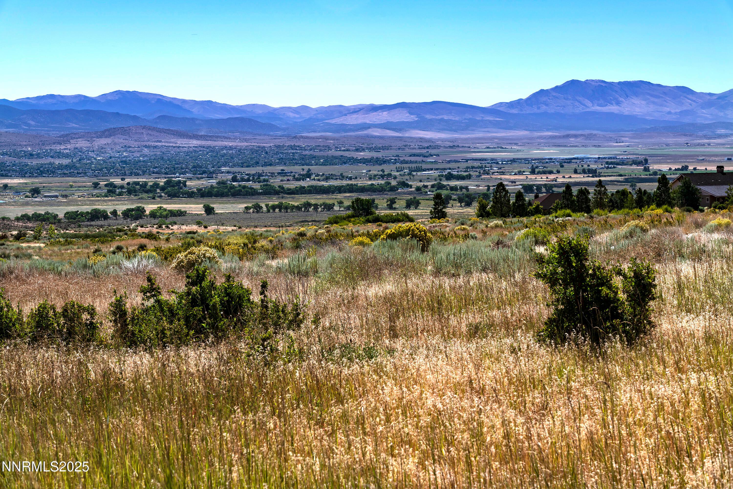 Genoa, Nevada, 89411, United States, ,Residential,For Sale,1939725