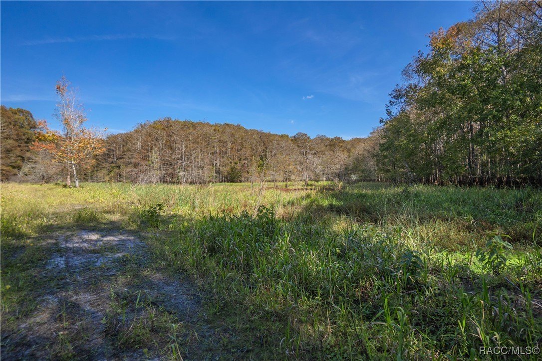 Inverness, Florida, 34450, United States, 4 Bedrooms Bedrooms, ,7 BathroomsBathrooms,Residential,For Sale,2005409