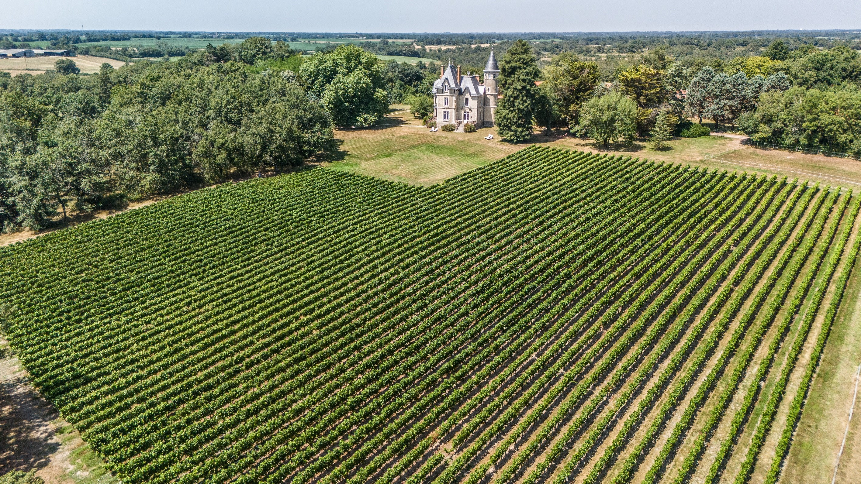  Elegant 19th château with guesthouses and vineyard - 物件實景