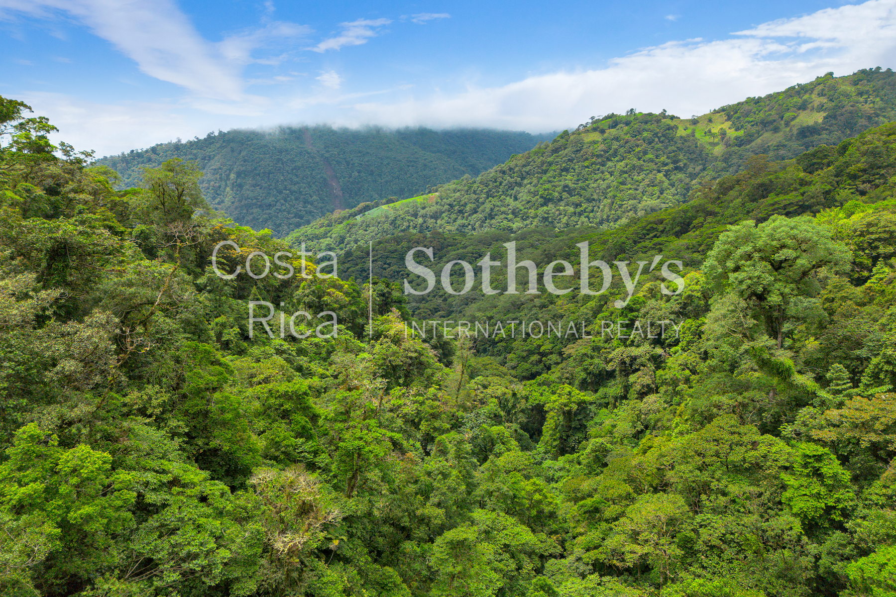 Hacienda Ecológica Río Toro - 物件實景