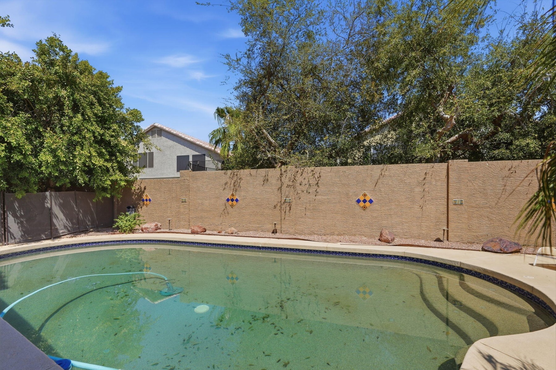  4658 E Kelly Drive¦Gilbert, AZ - 物件實景