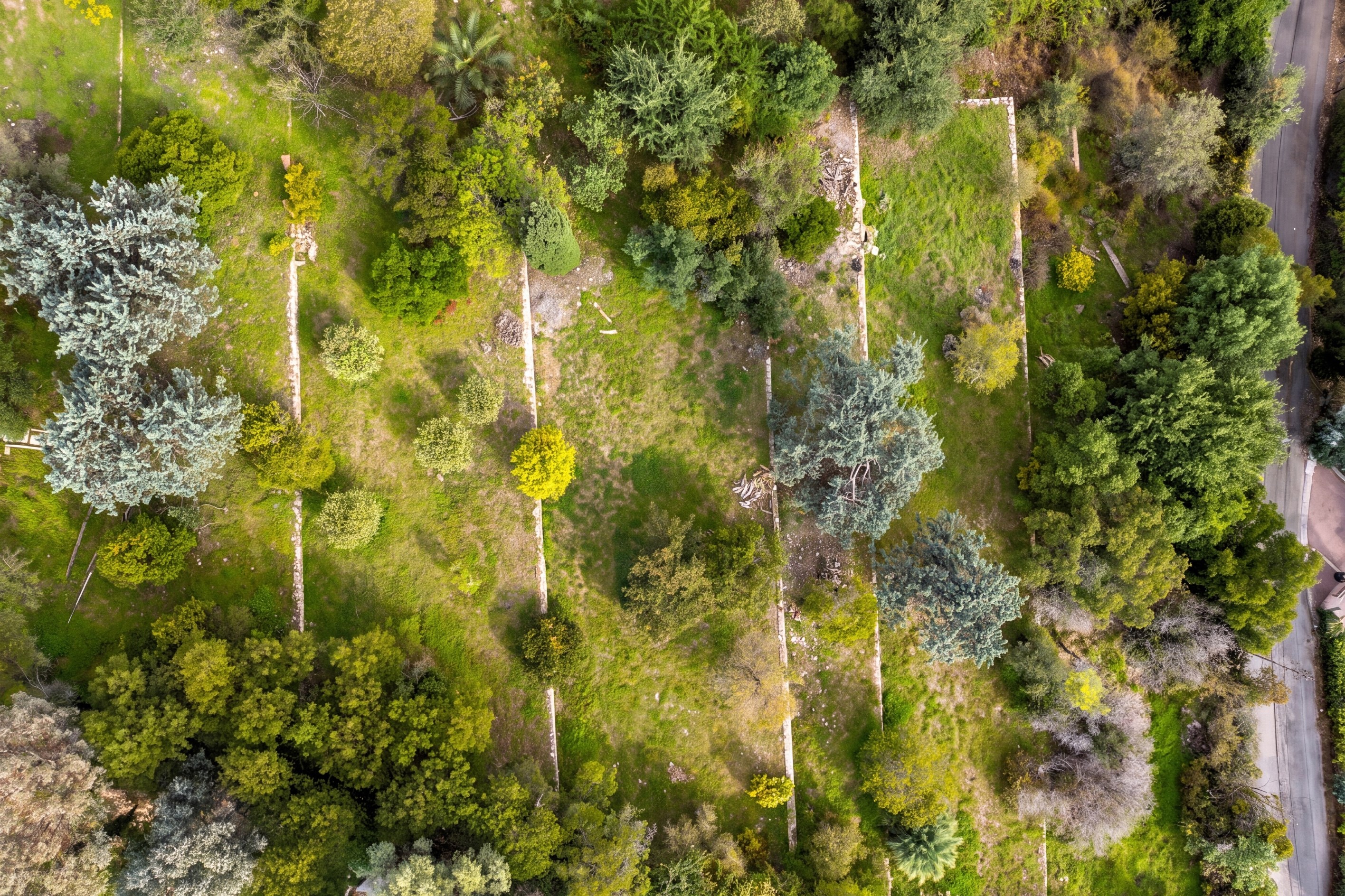  Super Cannes, 6,071 sqm of land with cleared permit for two contemporary sea vi… - 物件實景
