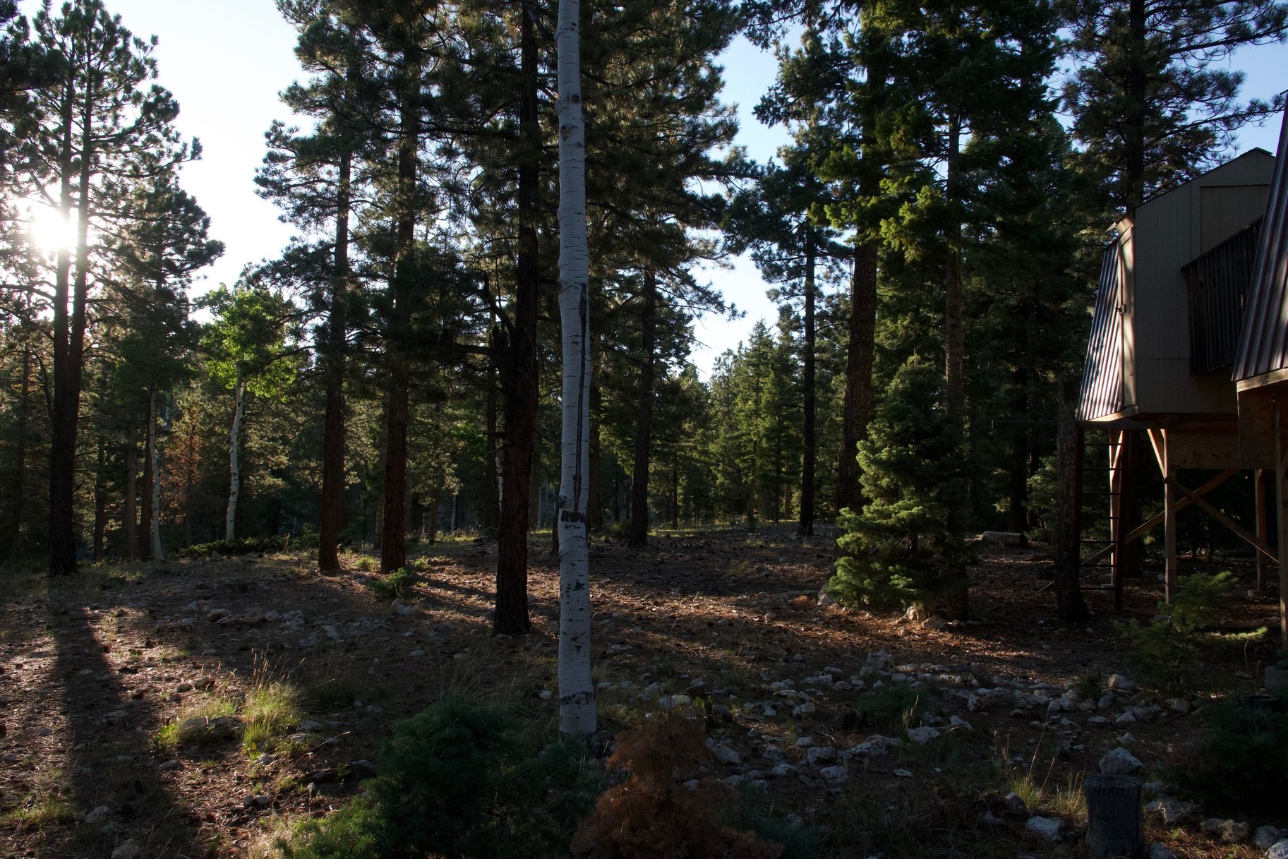  Charming A-Frame Retreat Backing National Forest With Panoramic Views - 物件實景