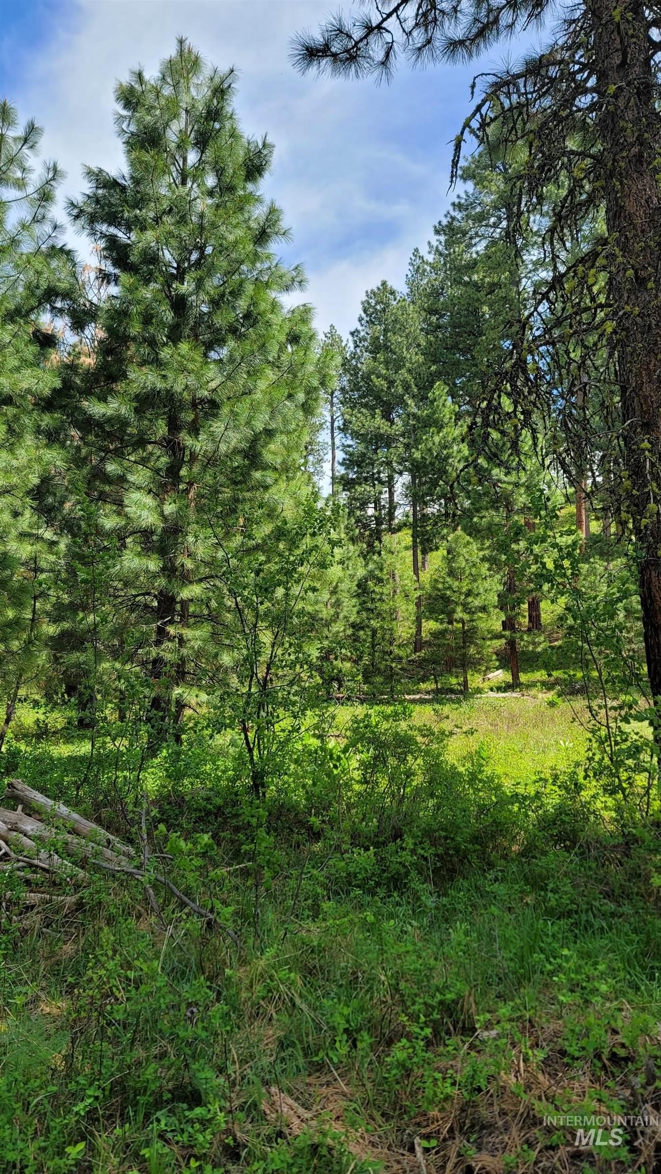 Council, Idaho, 83612, United States, 3 Bedrooms Bedrooms, ,2 BathroomsBathrooms,Residential,For Sale,1983161