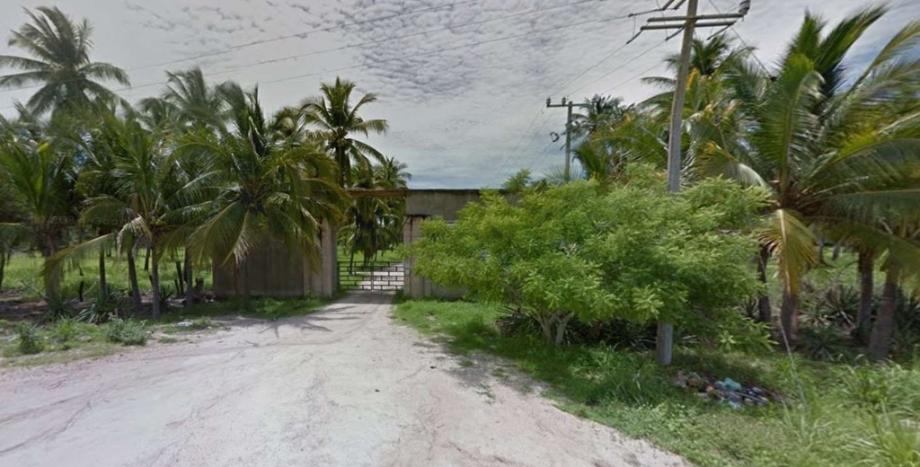 Ejido el Rebalse, Parcela, Cihuatlán, Jalisco, 48987, Mexico, 1 Bedroom Bedrooms, ,Residential,For Sale,Ejido el Rebalse, Parcela,1416617