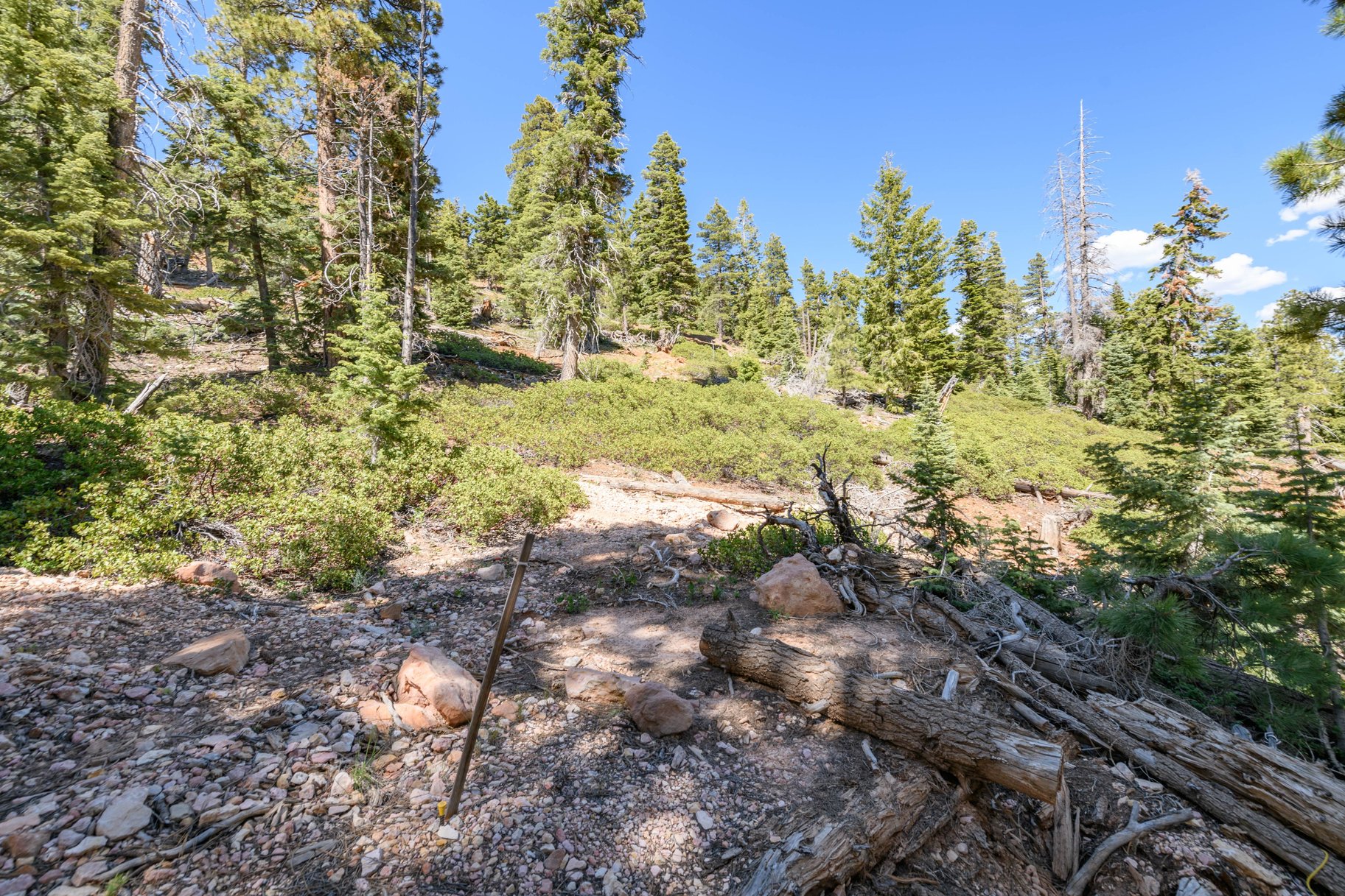  Quiet Mountain Retreat Near Navajo Lake - 物件實景