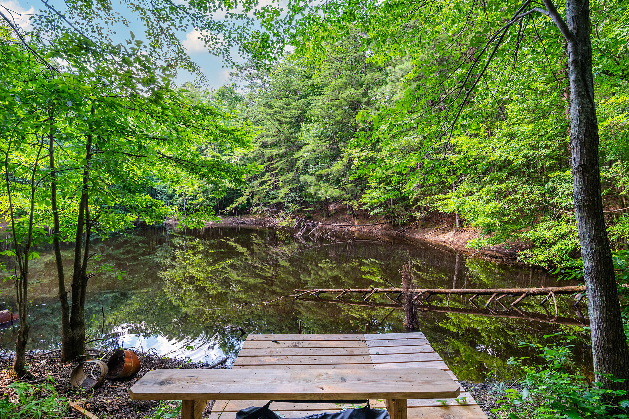  Extraordinary 11.48-Acre Estate in the Heart of East Cobb - 物件實景
