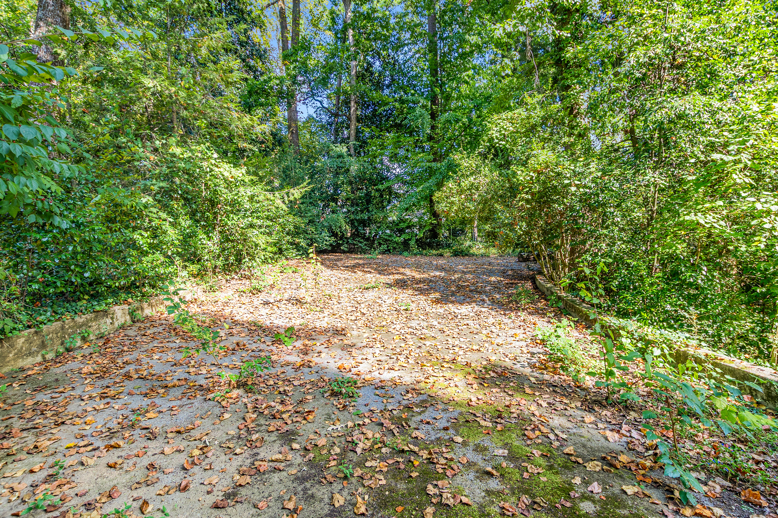  Three Contiguous Lots for New Construction in Historic Druid Hills - 物件實景