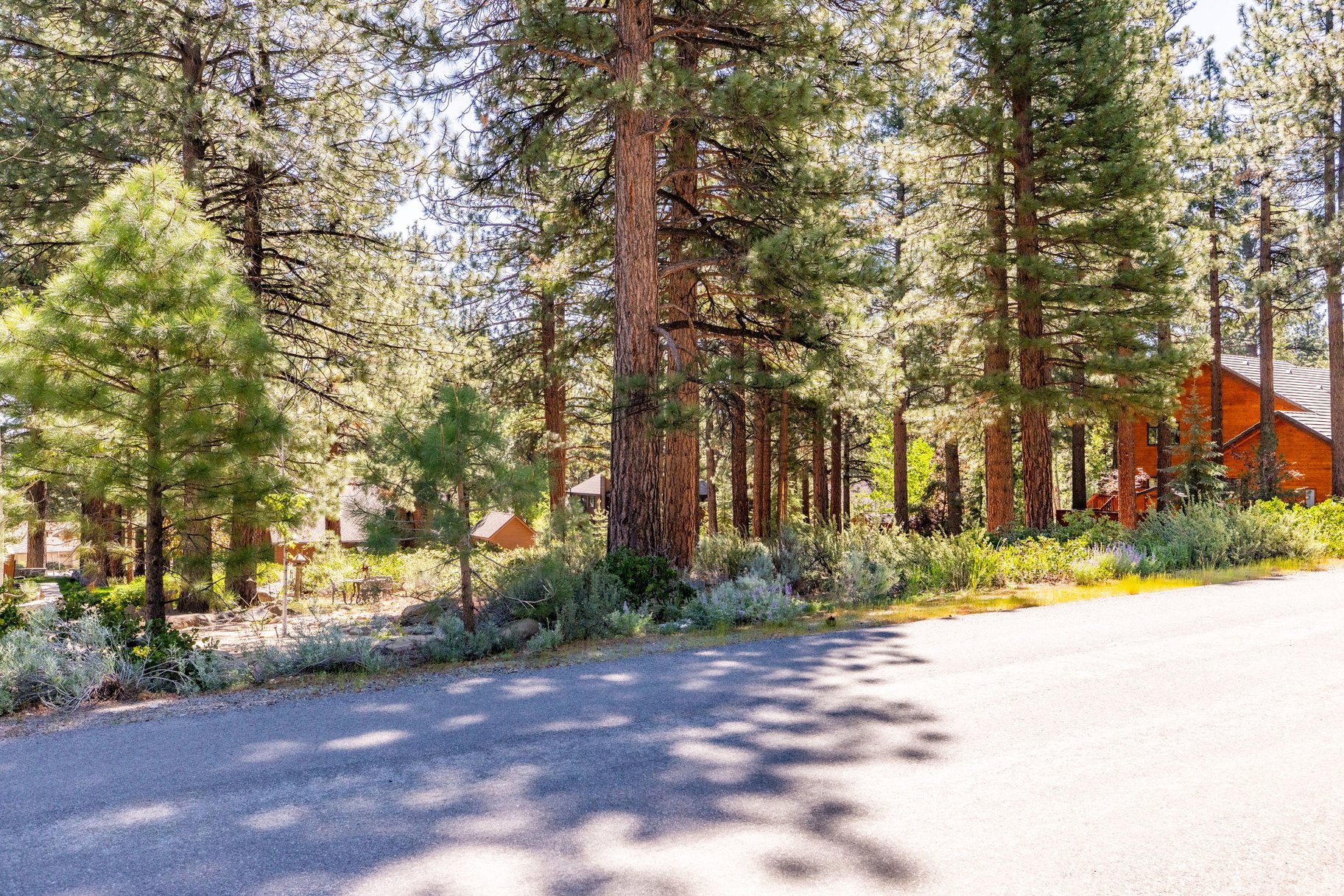 Private Galena Forest Parcel Near Mt. Rose with Pines & Tahoe Access - 物件實景