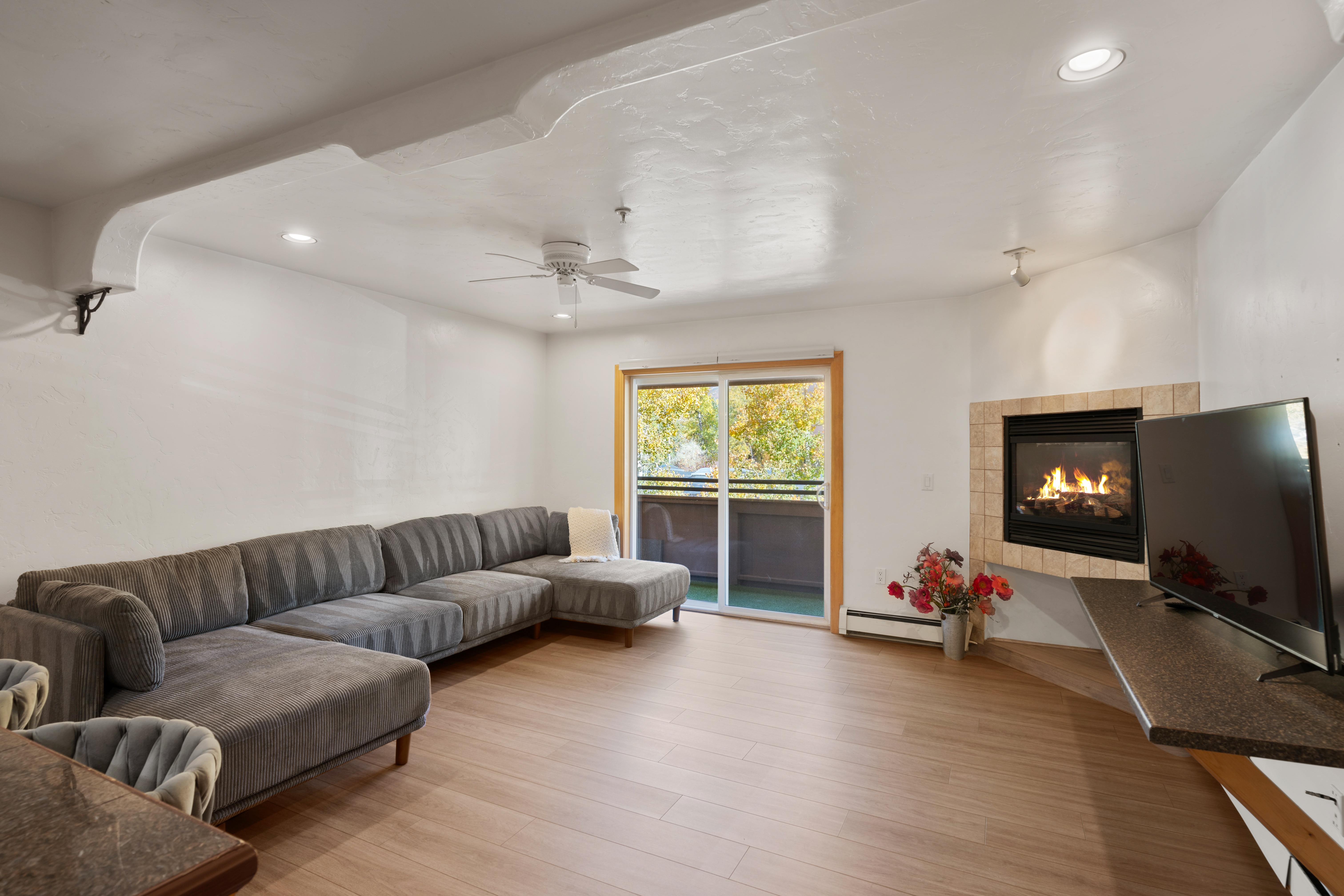  326 Midland Avenue 306, Aspen, CO, 81611 - 物件實景