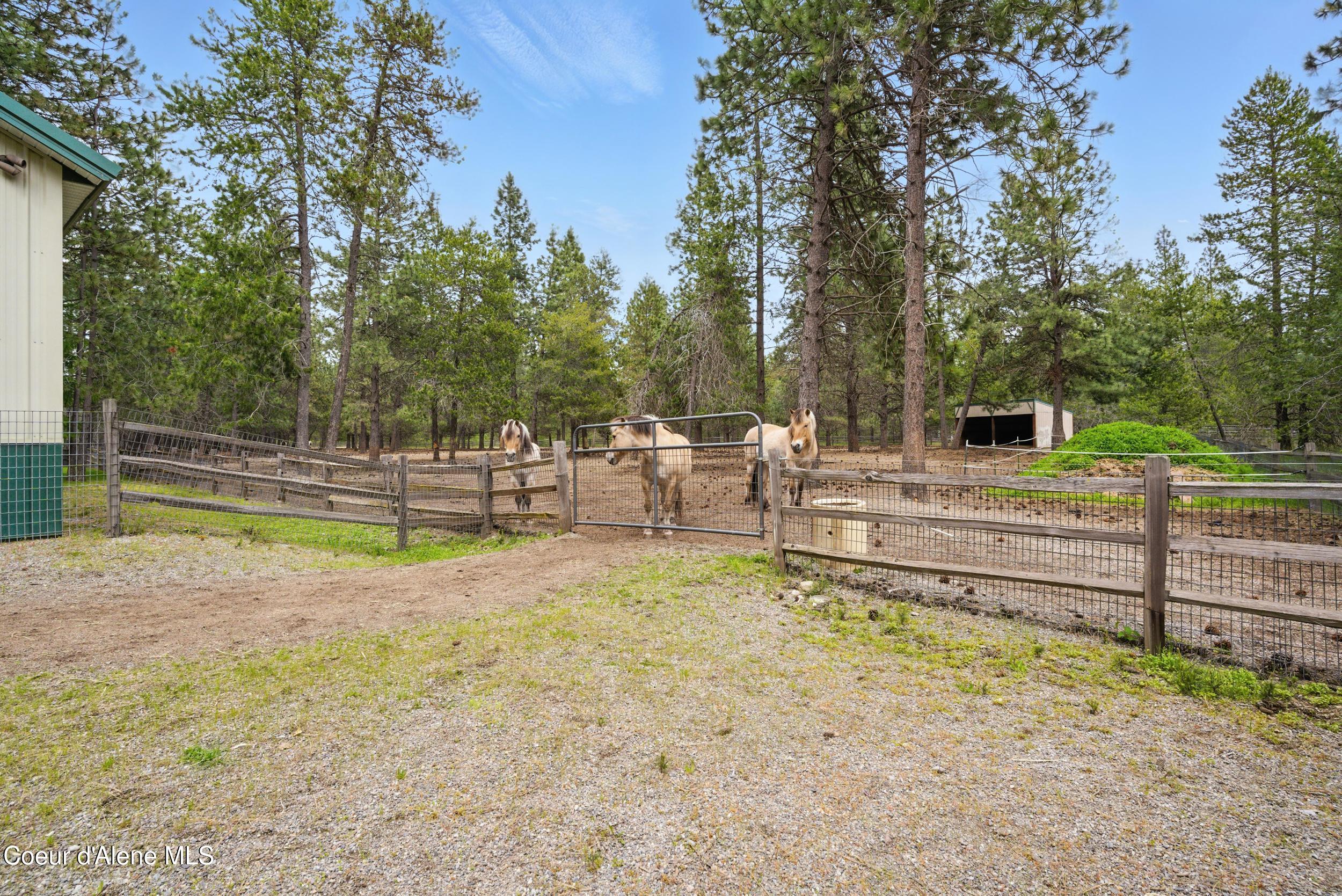 Athol, Idaho, 83801, United States, 6 Bedrooms Bedrooms, ,6 BathroomsBathrooms,Residential,For Sale,1975290