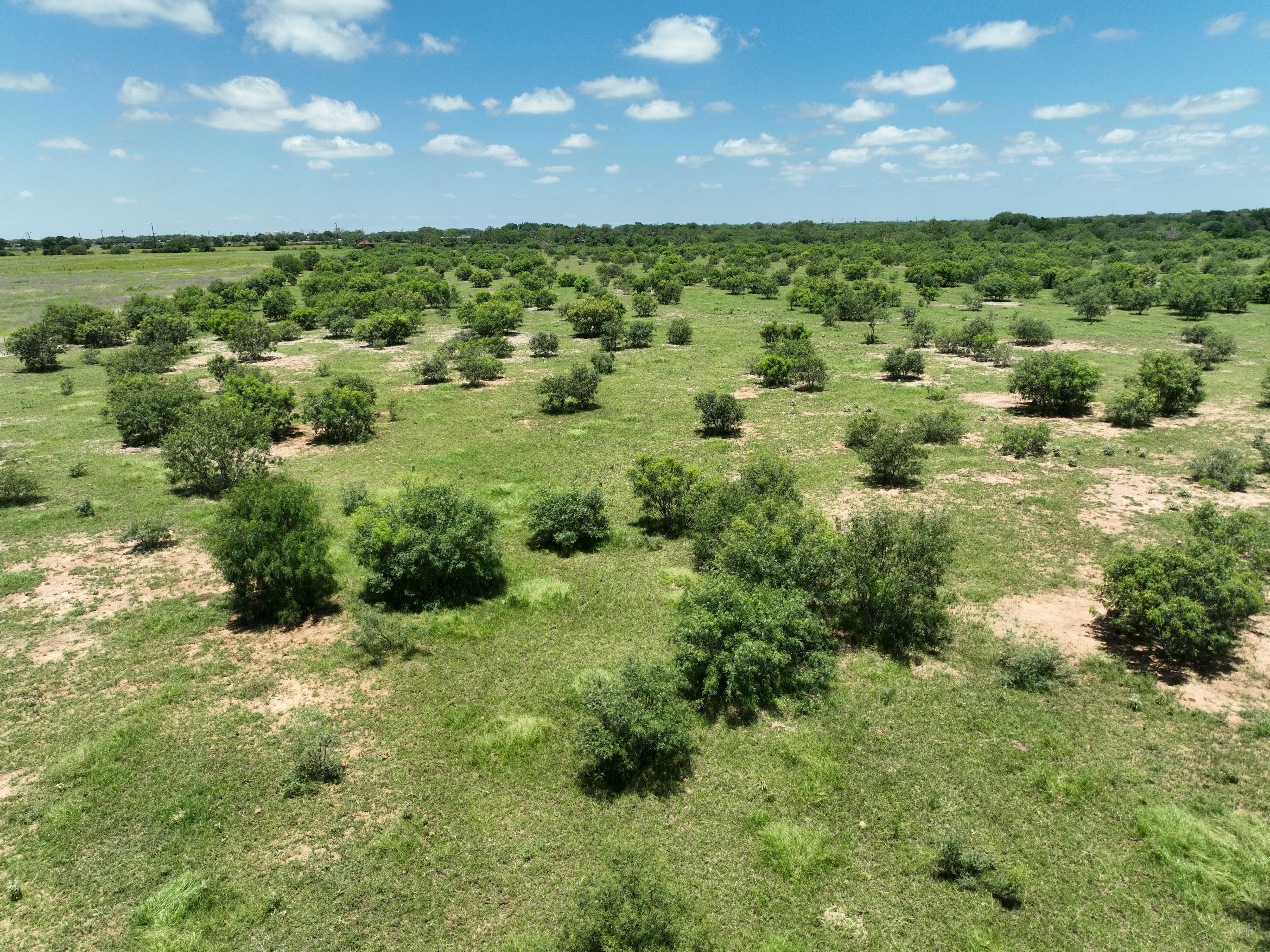  87.69+/- Acres in Bexar County - 物件實景