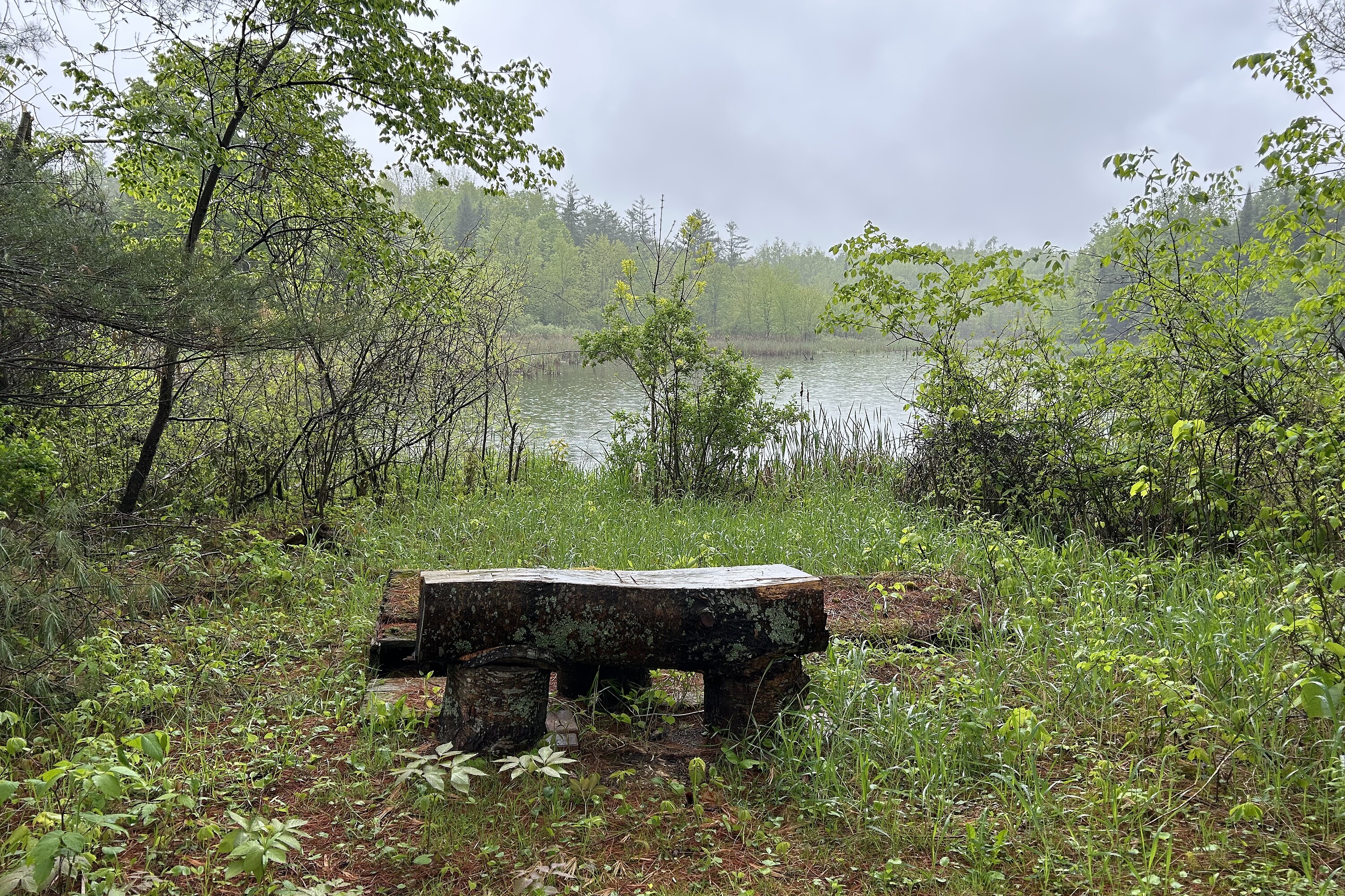  Havelock-Belmont-Methuen, - 物件實景