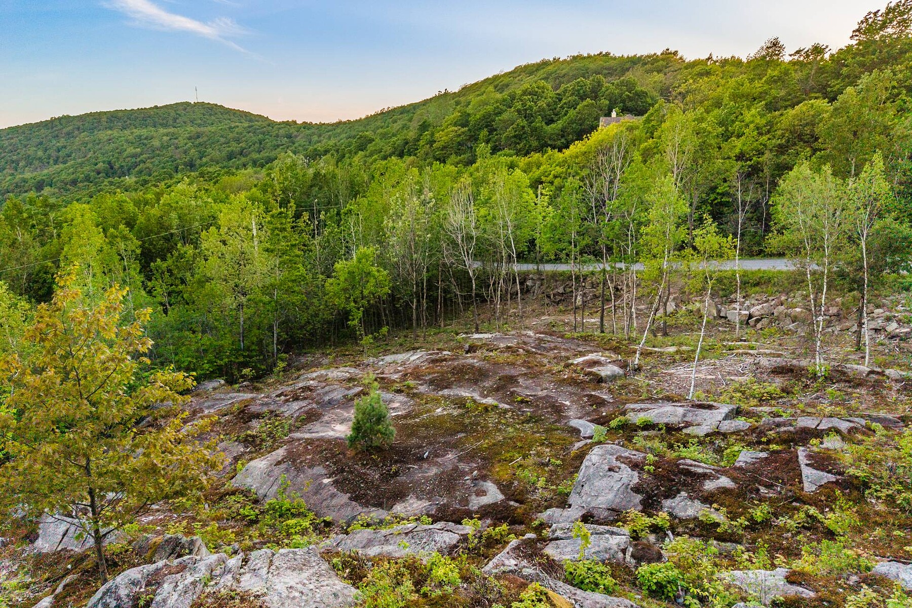  Shefford, Eastern Townships - 物件實景
