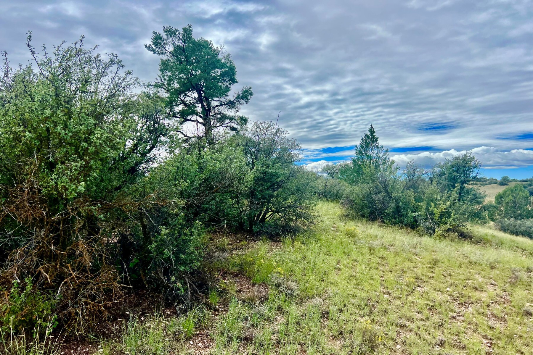  14565 N Puntenney Road¦Prescott, AZ - 物件實景