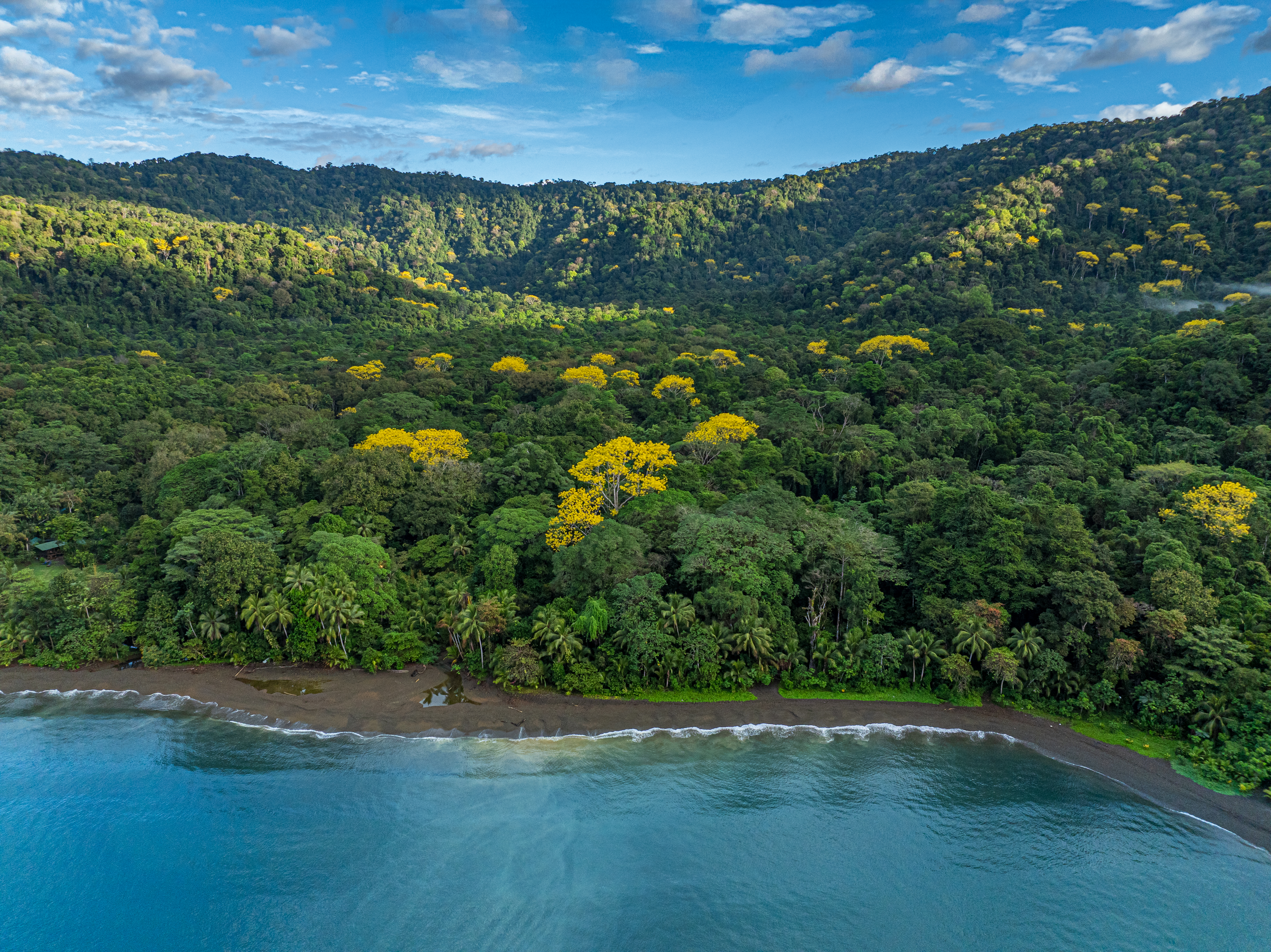 Golfito, Puntarenas, CR, 15 Bedrooms Bedrooms, ,13 BathroomsBathrooms,Residential,For Sale,1903279