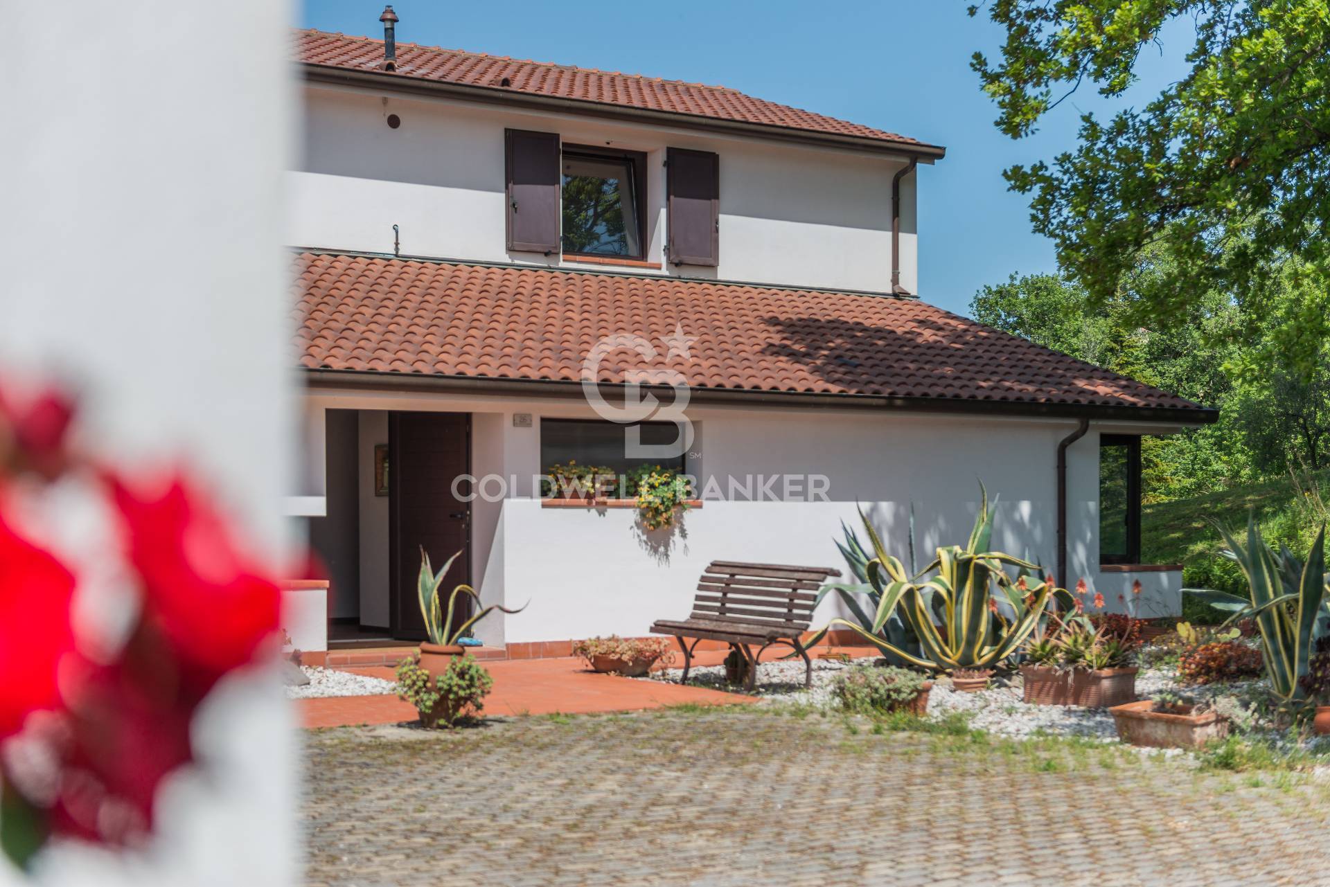 via giardino, San Clemente, Rimini, 47040, IT, 5 Bedrooms Bedrooms, ,3 BathroomsBathrooms,Residential,For Sale,via giardino,1522427