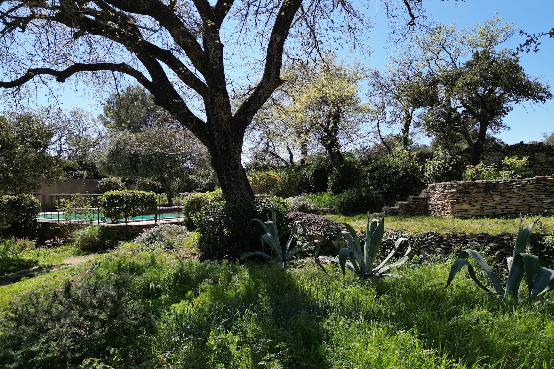  A Character Property in the Heart of the Gard - 物件實景