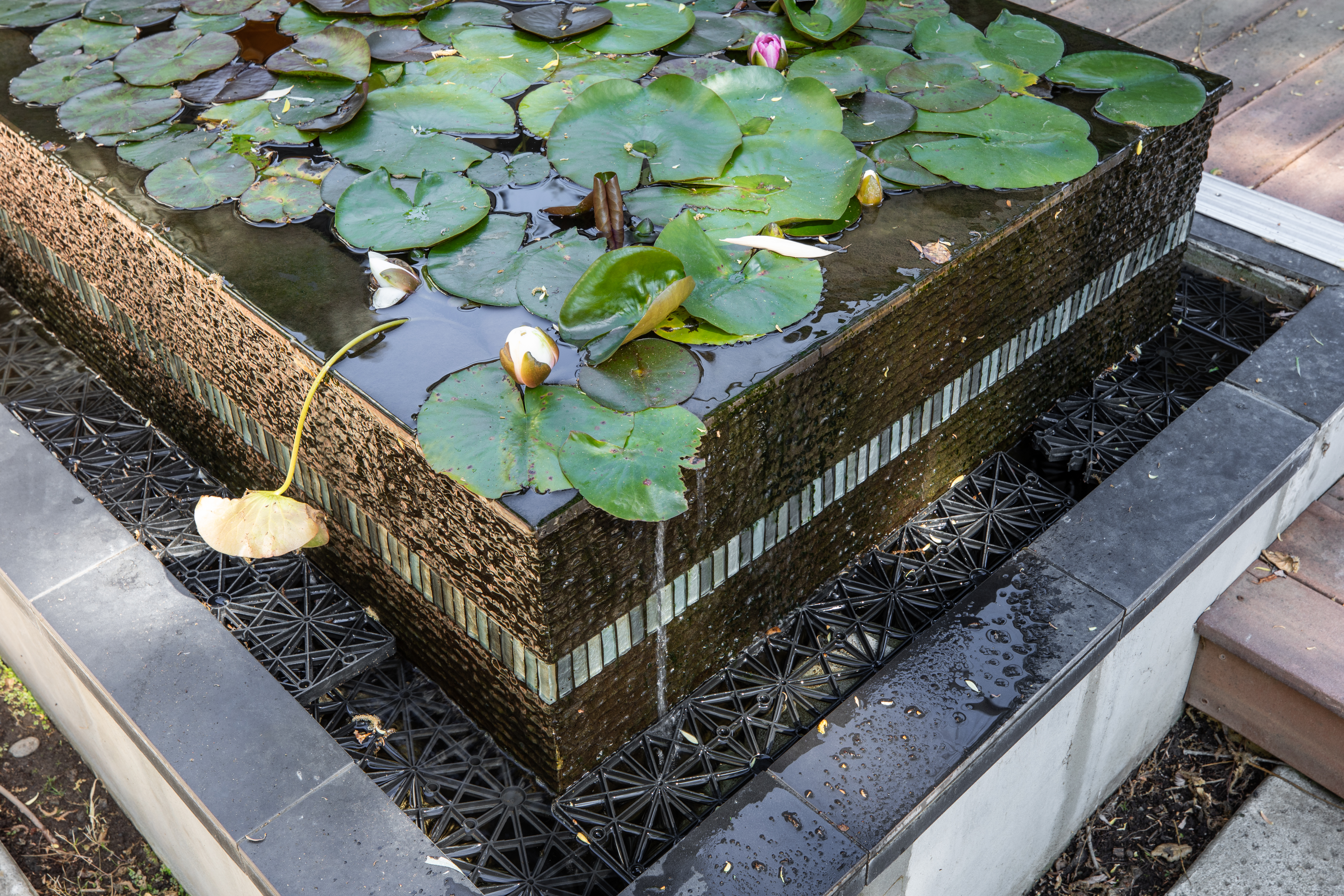  Intelligently Designed. Effortlessly Lived In. - 物件實景