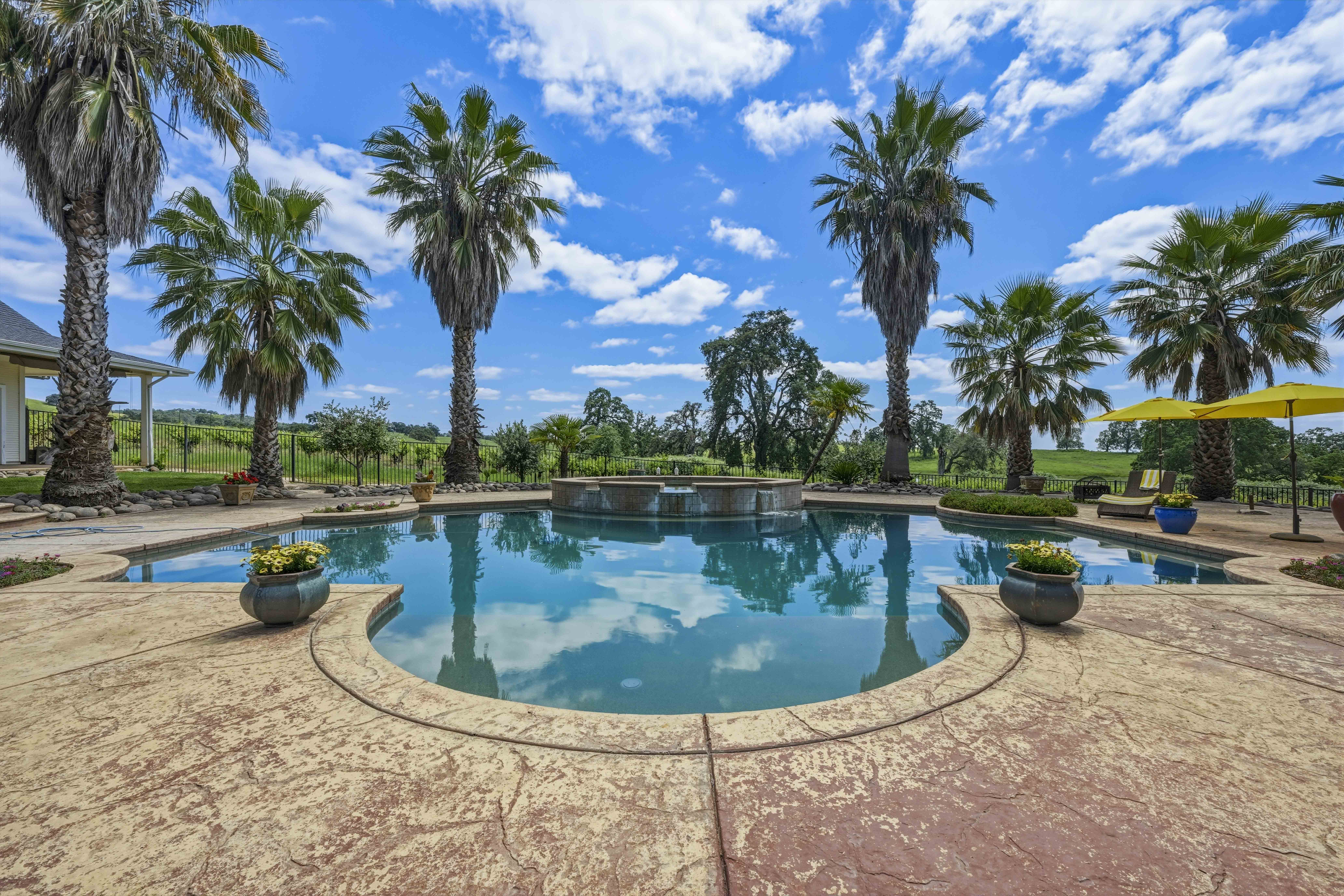  10120 Shenandoah Road, Plymouth, CA 95669 - 物件實景