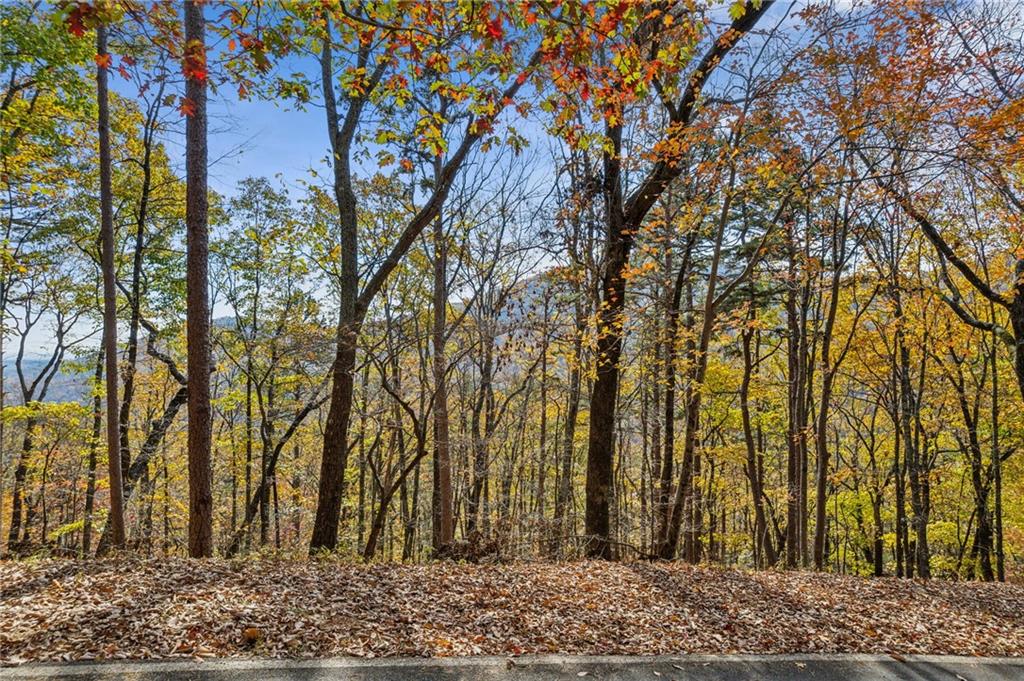 Big Canoe, Georgia, 30143, United States, 4 Bedrooms Bedrooms, ,4 BathroomsBathrooms,Residential,For Sale,2005796