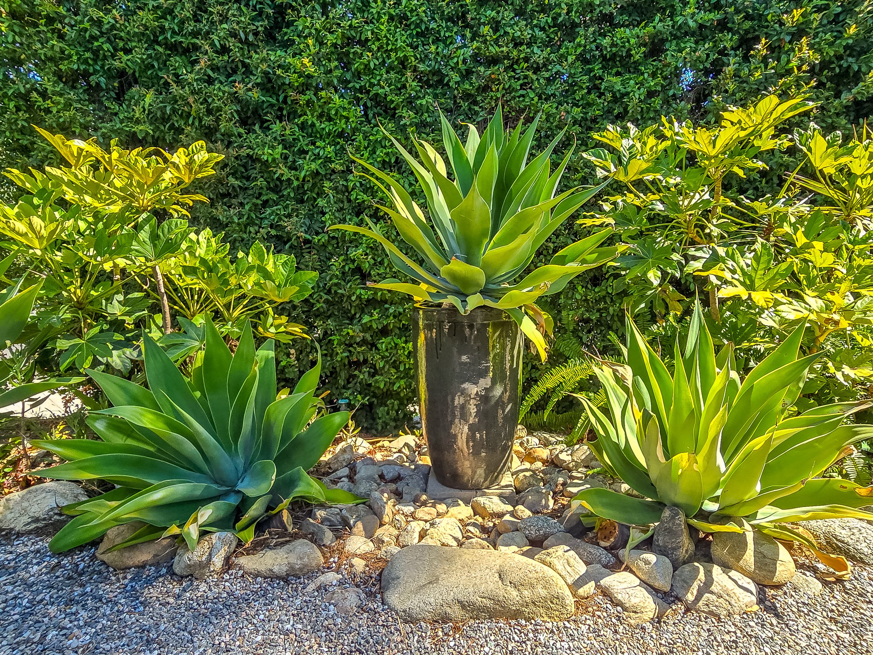  759-761 West 11th Street, Claremont, CA 91711 - 物件實景