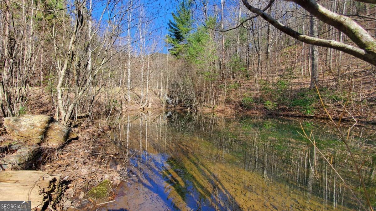 Cherry Log, Georgia, 30522, United States, ,Land,For Sale,1859131