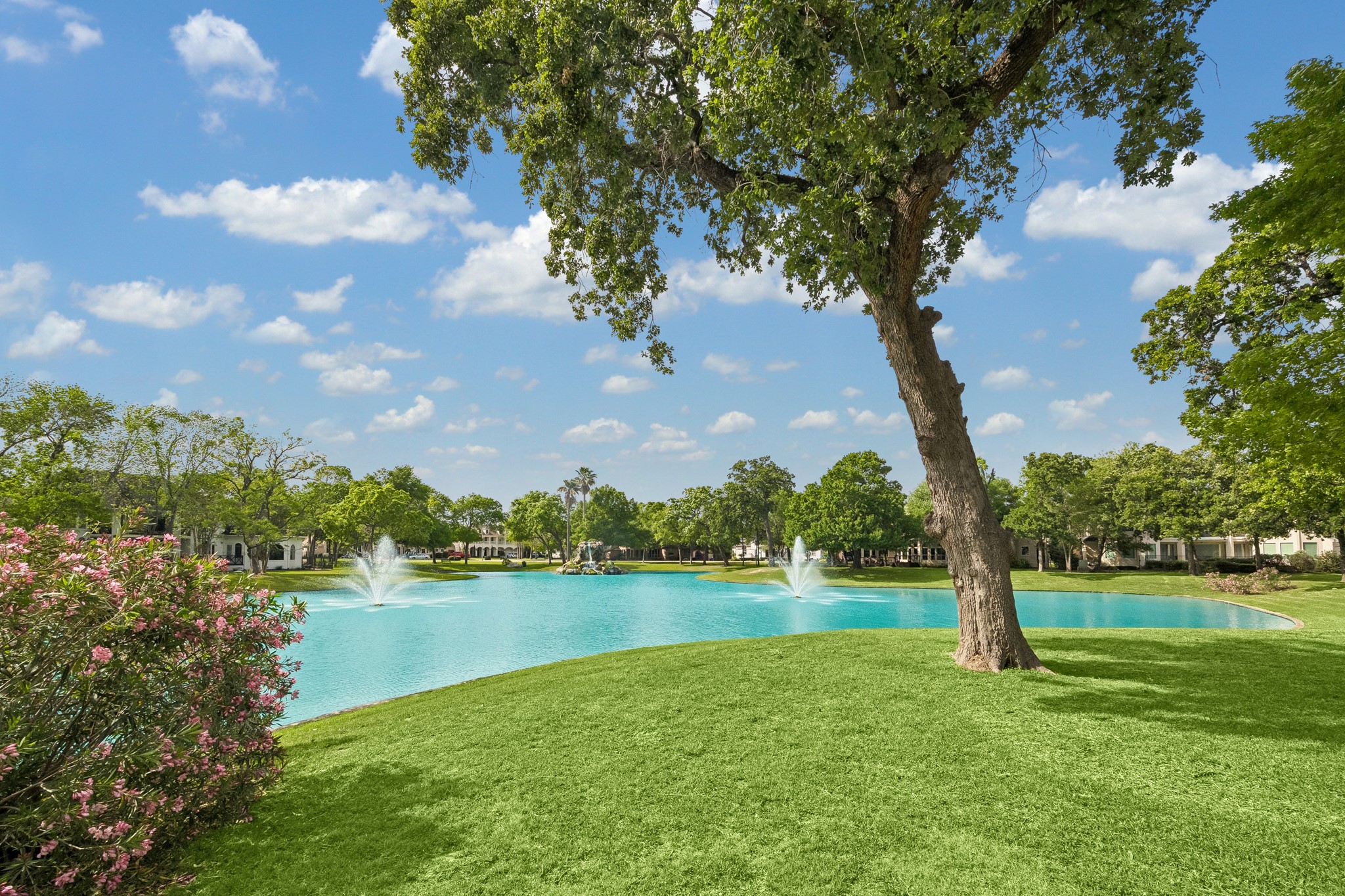  907 Enclave Lake Drive - 物件實景