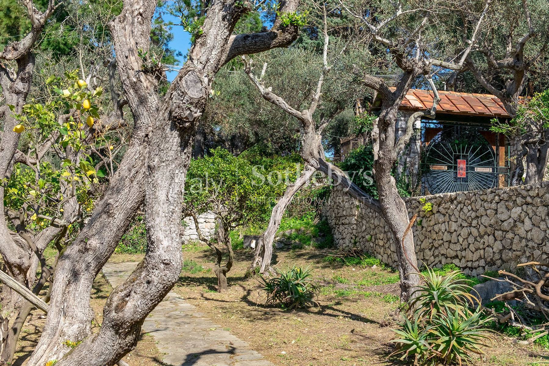  Wonderful villa with garden and seaview in Anacapri - 物件實景