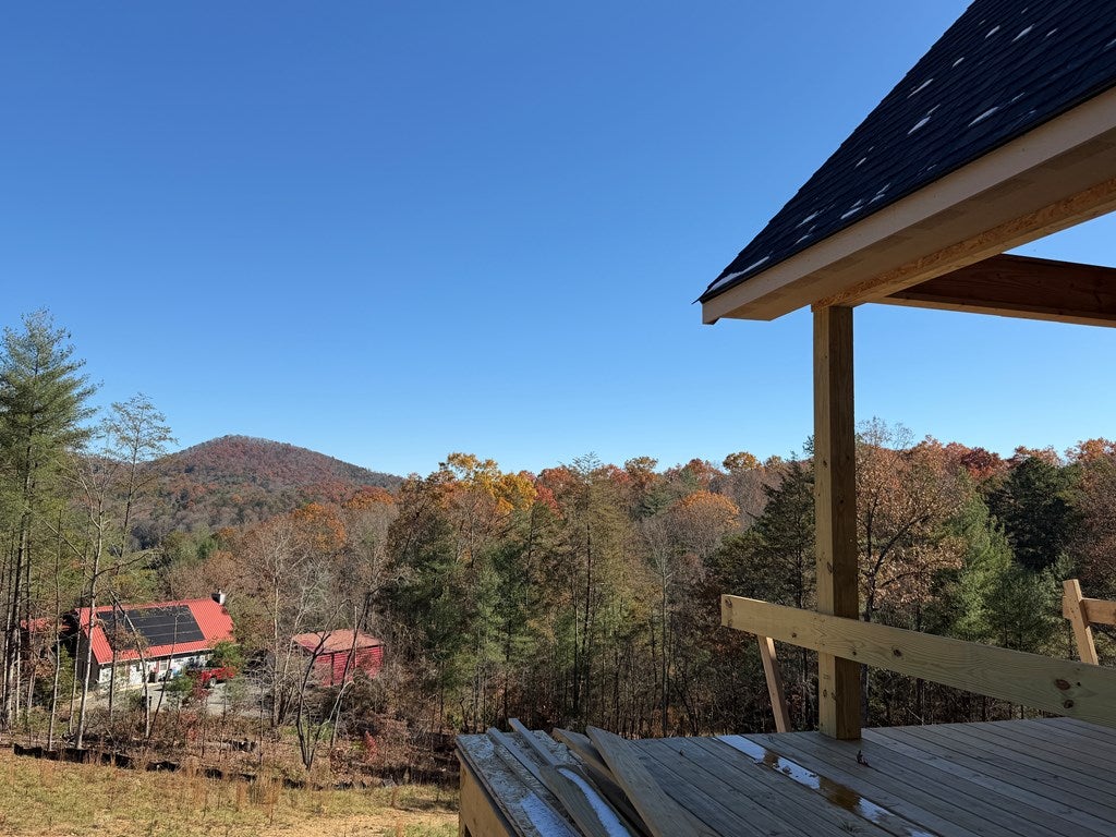 Mineral Bluff, Georgia, 30559, United States, 3 Bedrooms Bedrooms, ,3 BathroomsBathrooms,Residential,For Sale,2006595