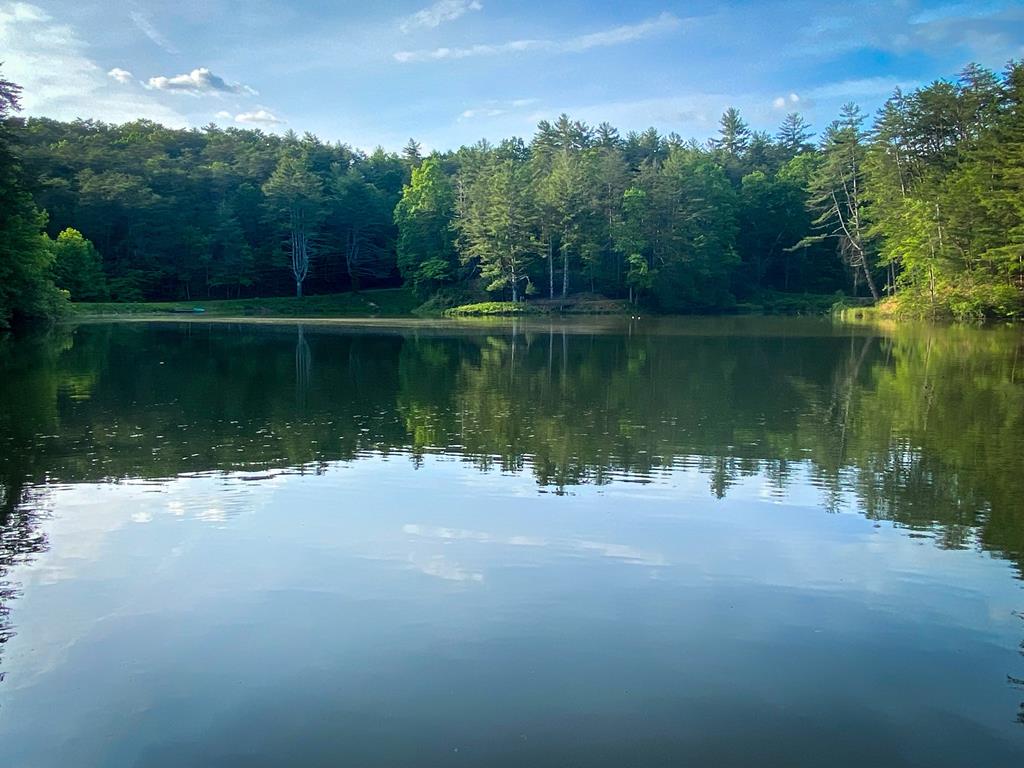 Ellijay, Georgia, 30536, United States, 5 Bedrooms Bedrooms, ,3 BathroomsBathrooms,Residential,For Sale,1982732