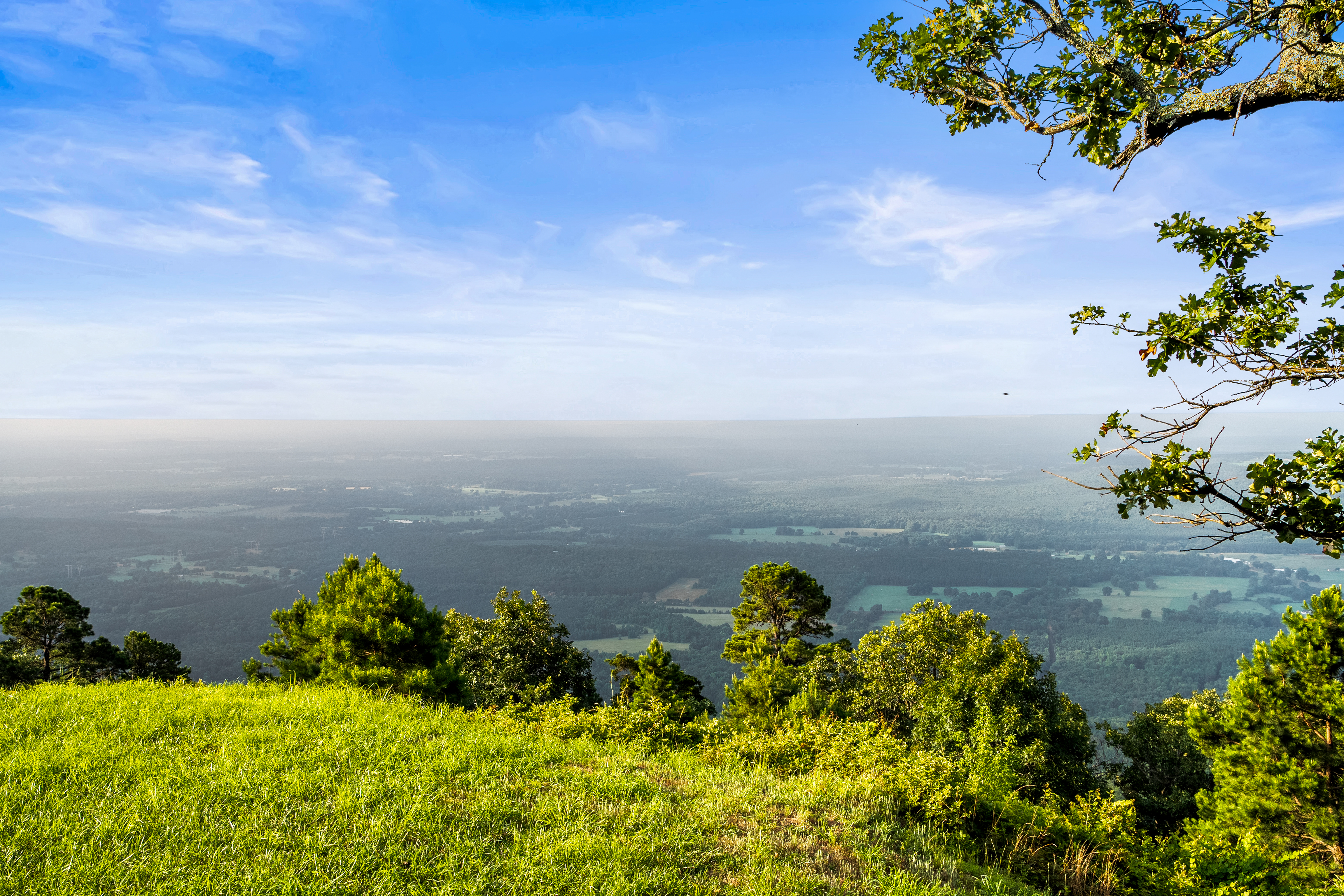  11334 Pool Hollow, Dardanelle, AR, 72834 - 物件實景