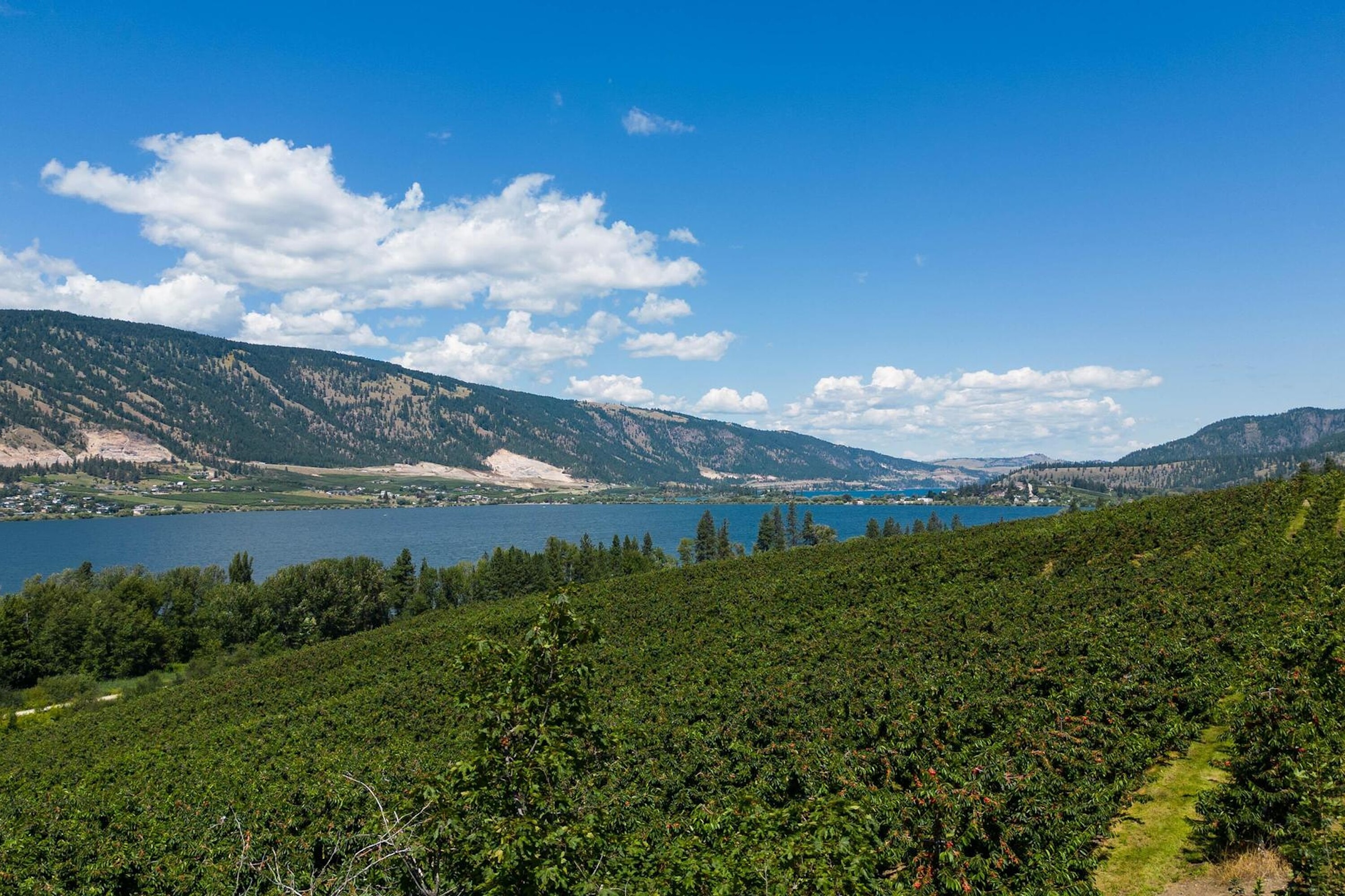  Lakeshore Parcel in Oyama - 物件實景