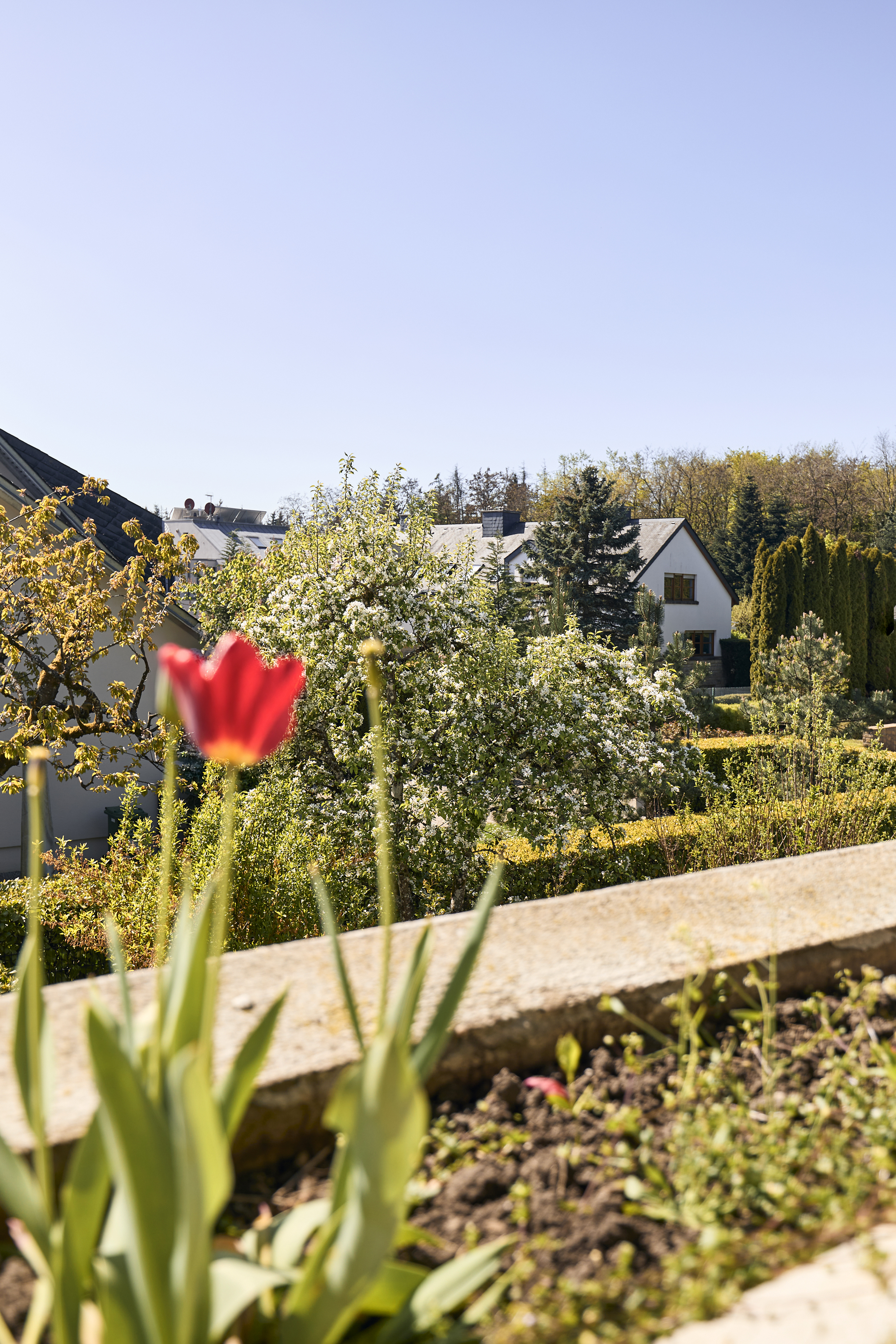  Maison de style Bauhaus à Sennigerberg - 物件實景