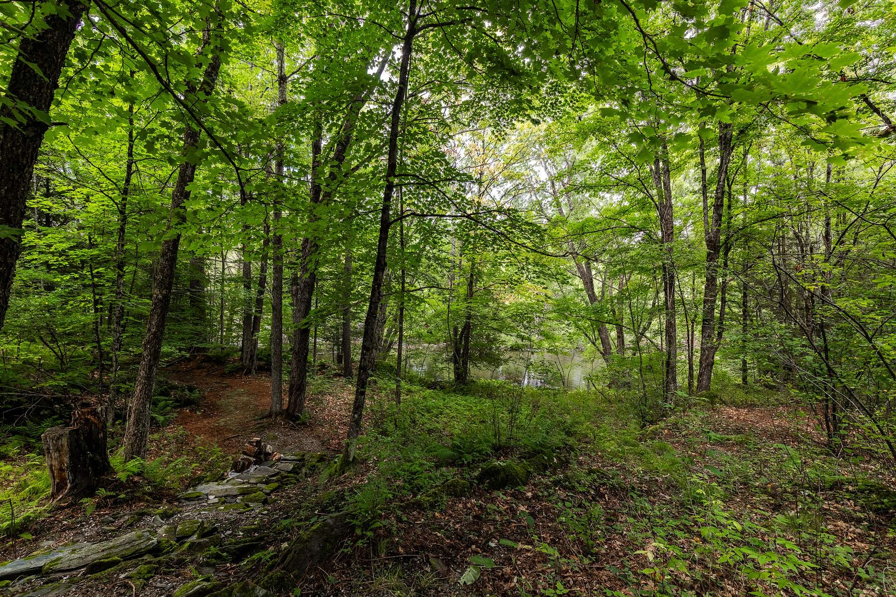  Lac-Brome, Eastern Townships - 物件實景