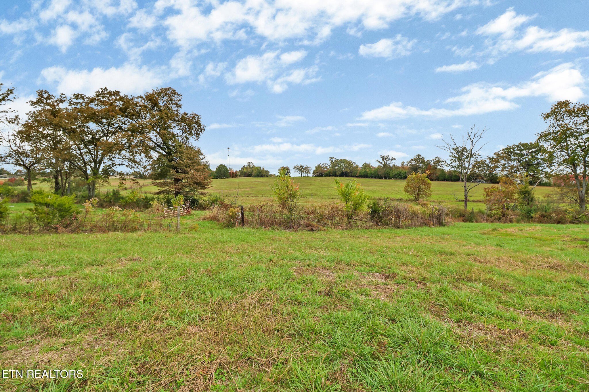 McMinnville, Tennessee, 37110, United States, 3 Bedrooms Bedrooms, ,1 BathroomBathrooms,Residential,For Sale,1976932