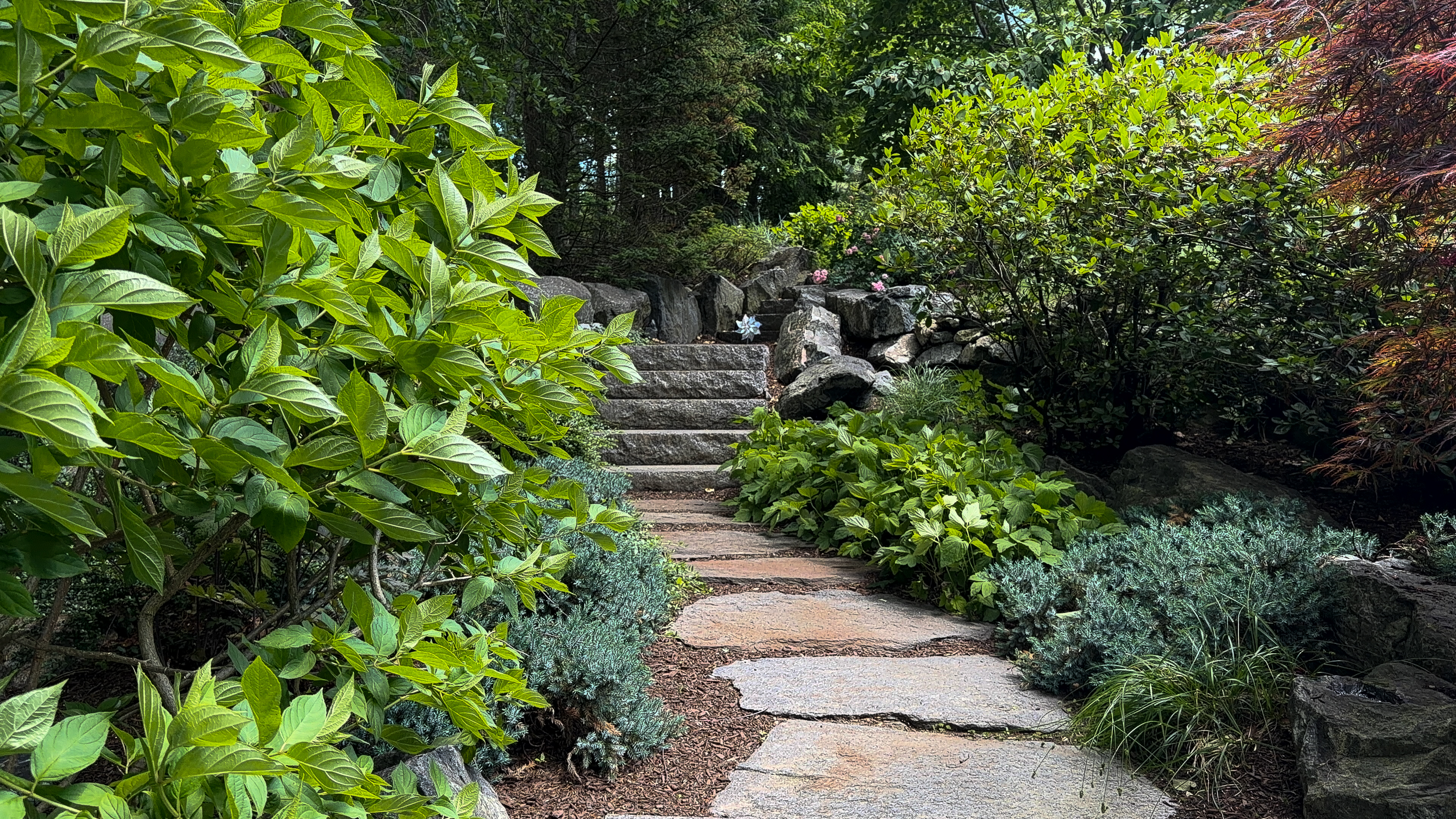  70 Warren Avenue, Harvard, MA 01451 - 物件實景