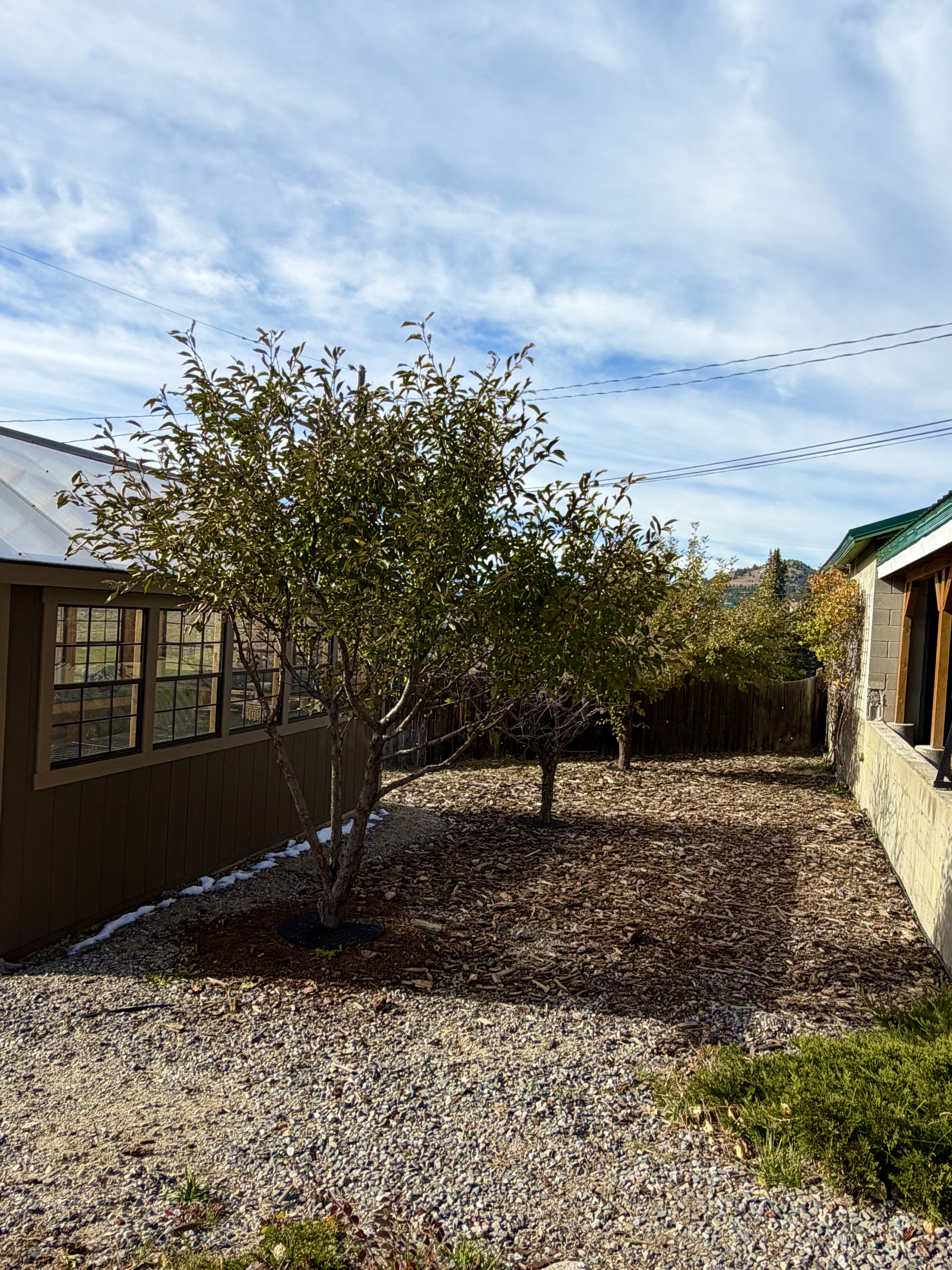 Butte, Montana, 59701, United States, 4 Bedrooms Bedrooms, ,4 BathroomsBathrooms,Residential,For Sale,1995407