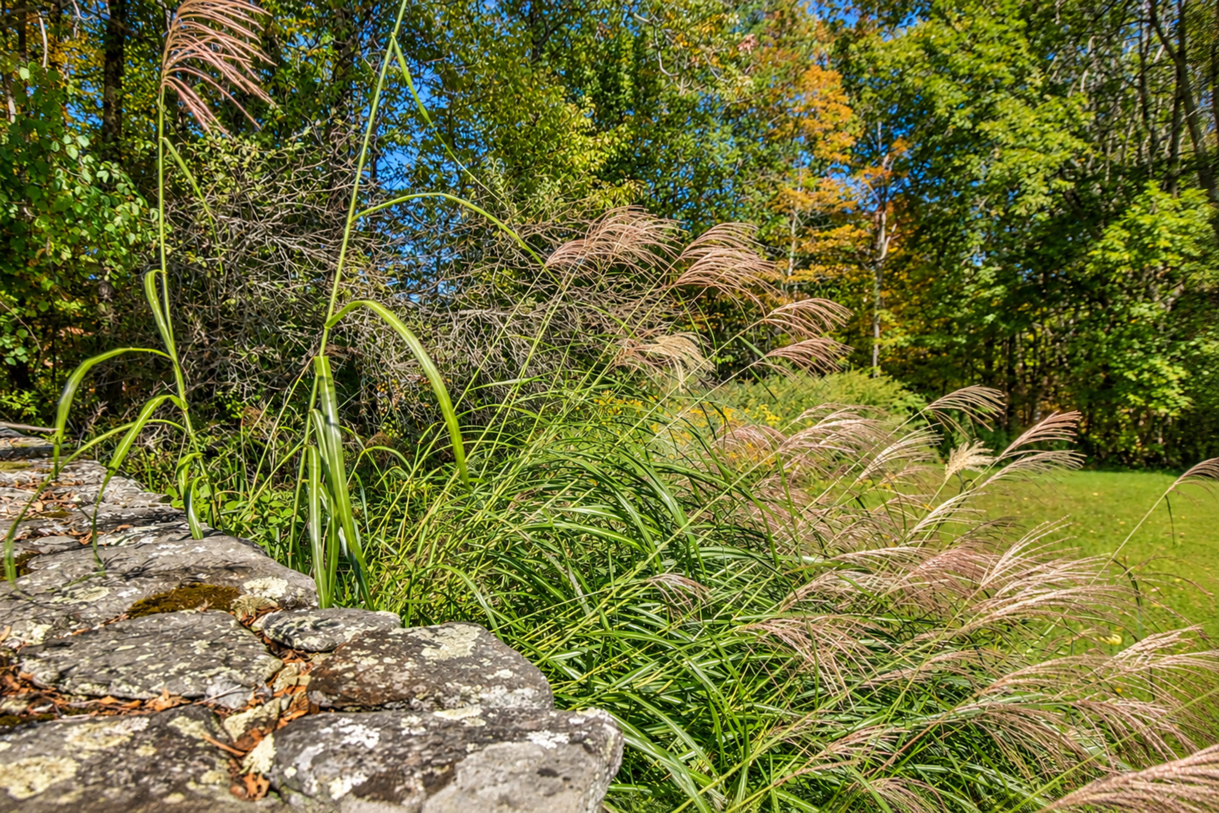  1782 Historic Country Estate  Exceptional Gardens, Solitude, & Protected Views - 物件實景