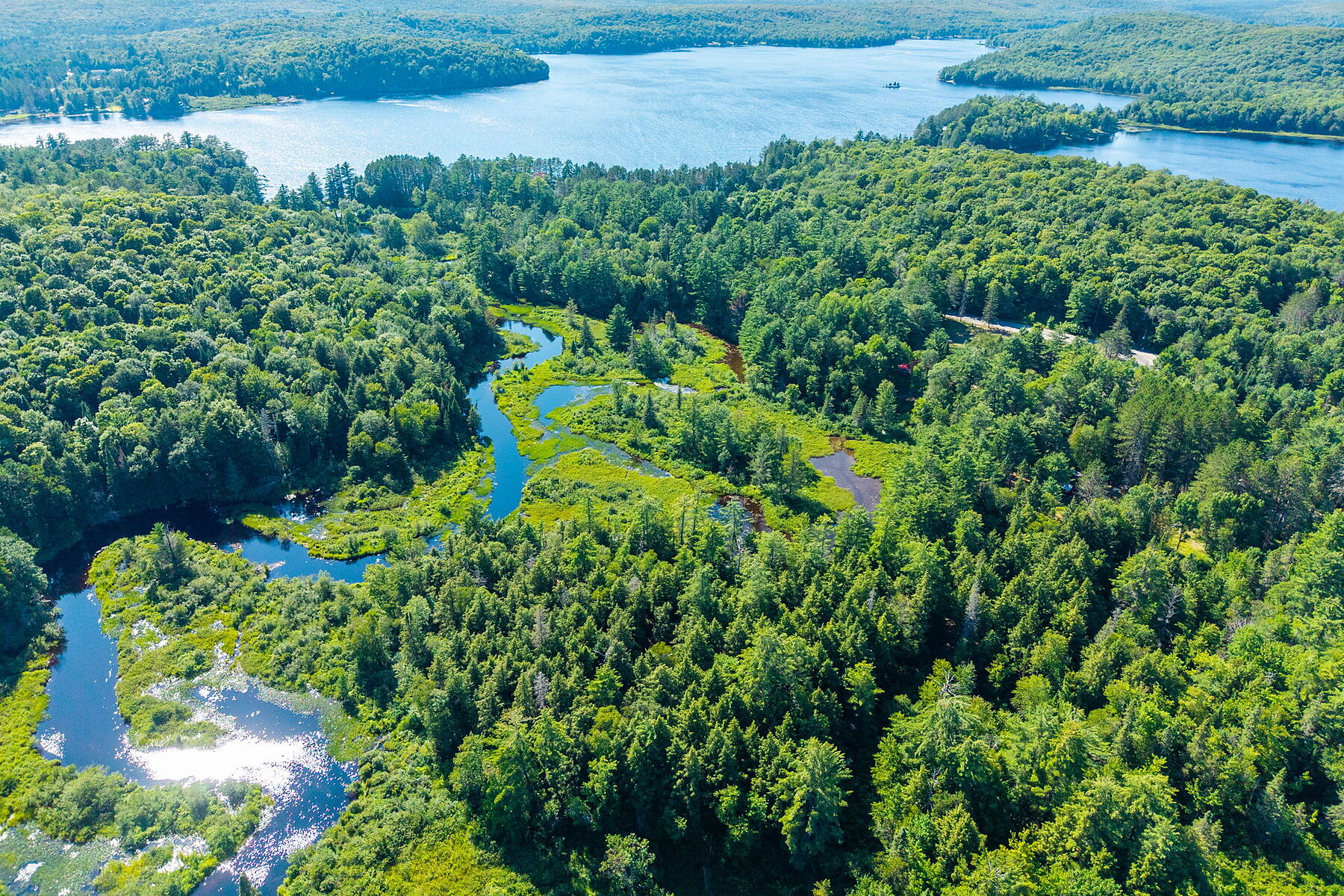 Buck River Huntsville - 物件實景