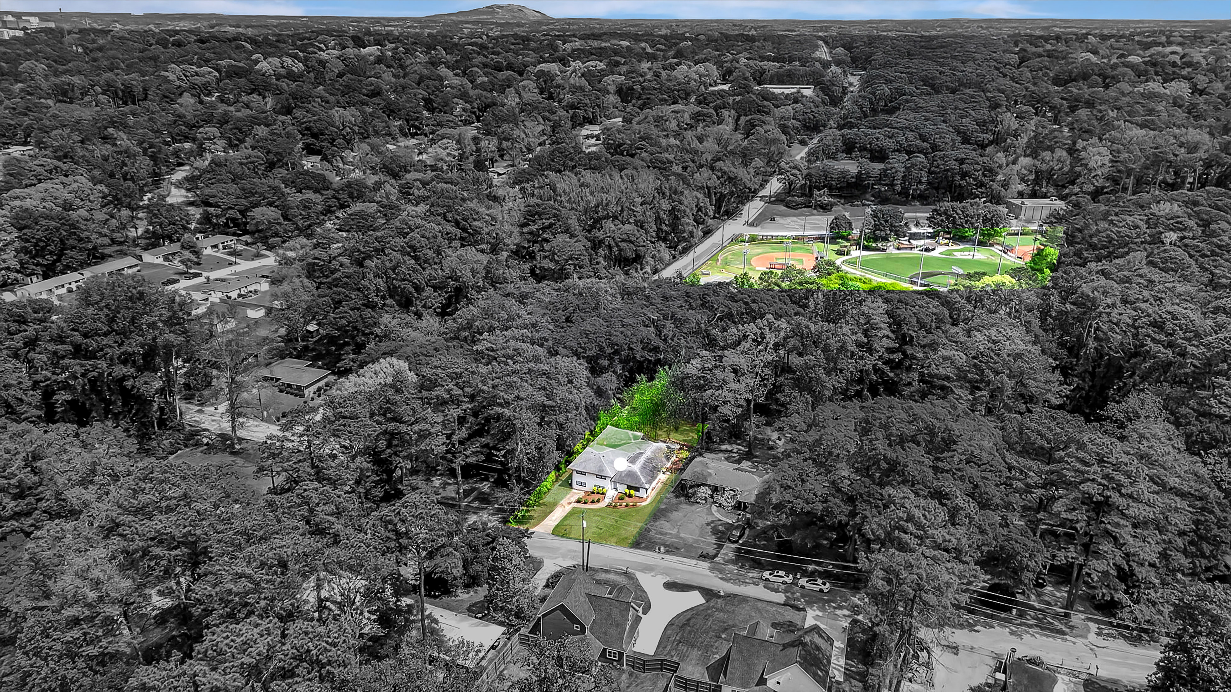  Exceptional Mid-Century Modern Renovation in Decatur - 物件實景