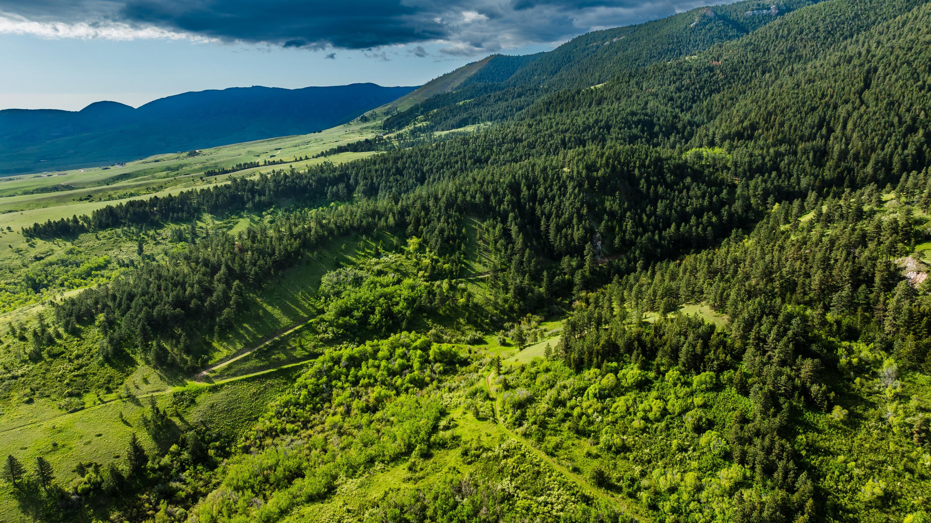 Big Horn, Wyoming, 82833, United States, ,Residential,For Sale,2011314